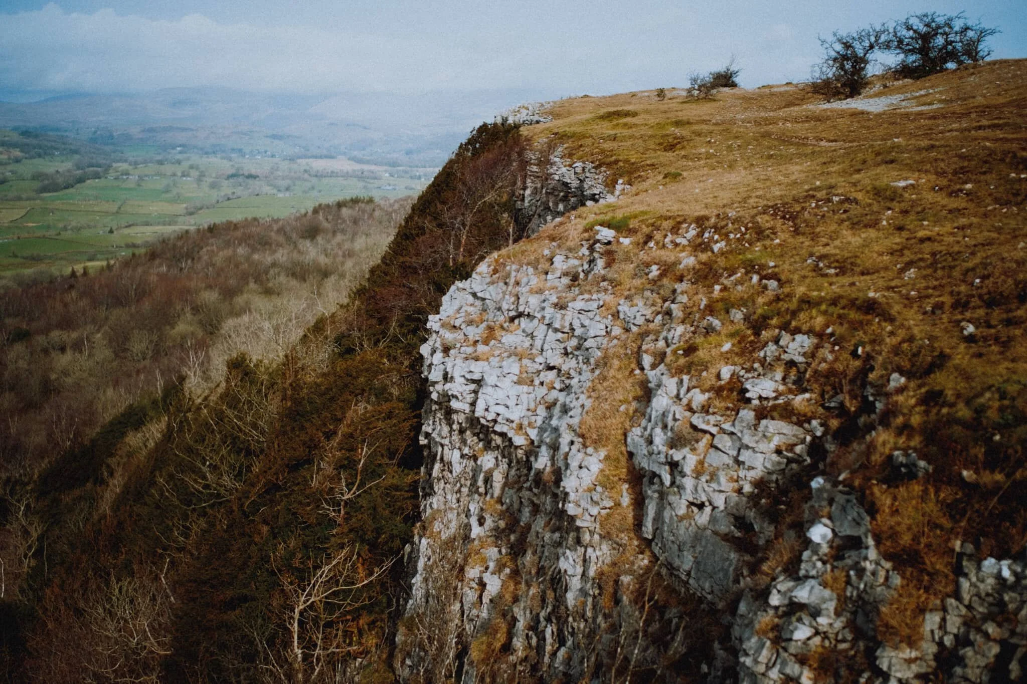 Near Hodgson’s Leap the cliffs break up more, but are no less precipitous.