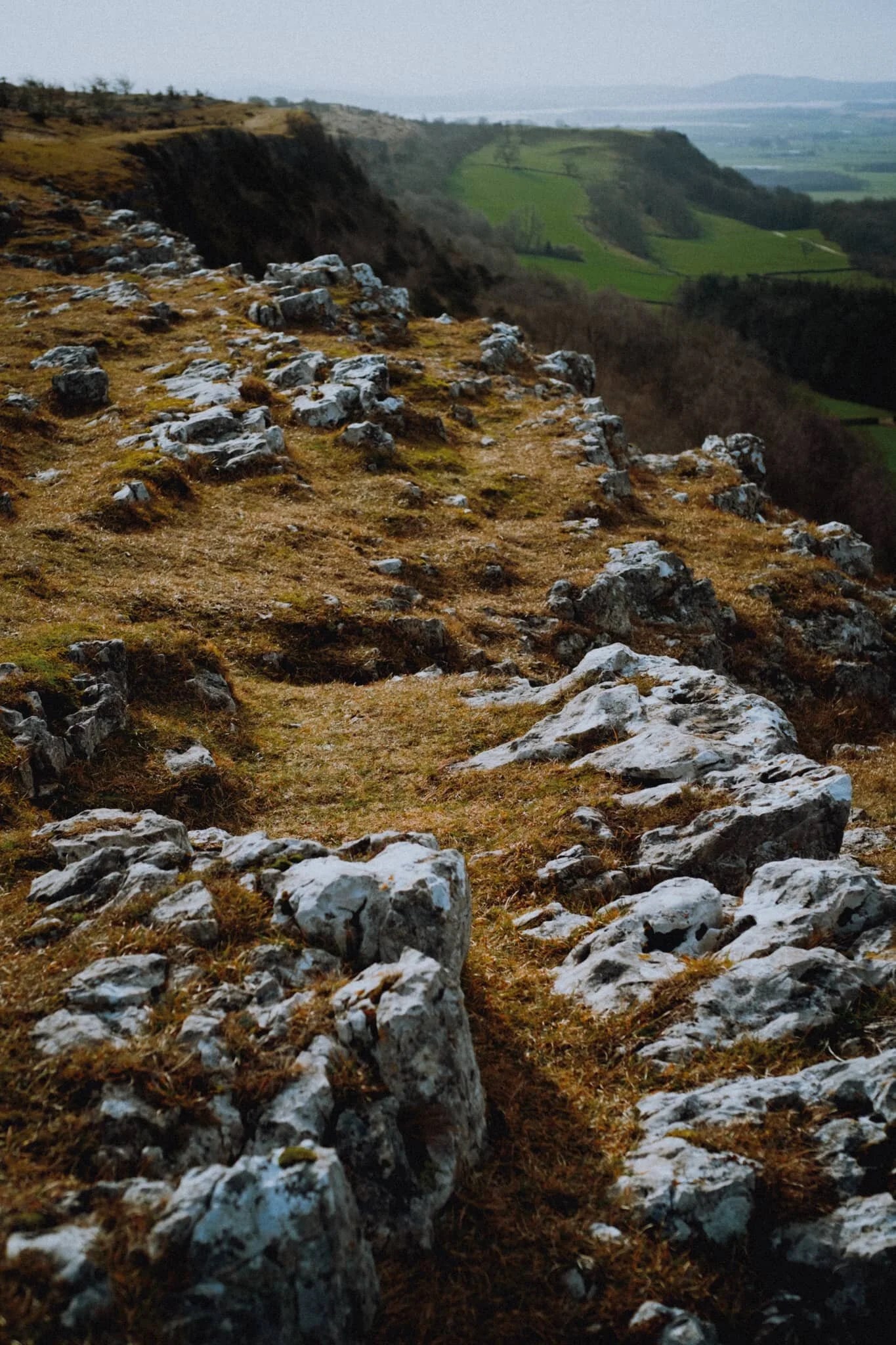 Looking back the way we came, once we’d reached Hodgson’s Leap. The day was clear enough to be able to make out the Kent Estuary as it flows out into Morecambe Bay.