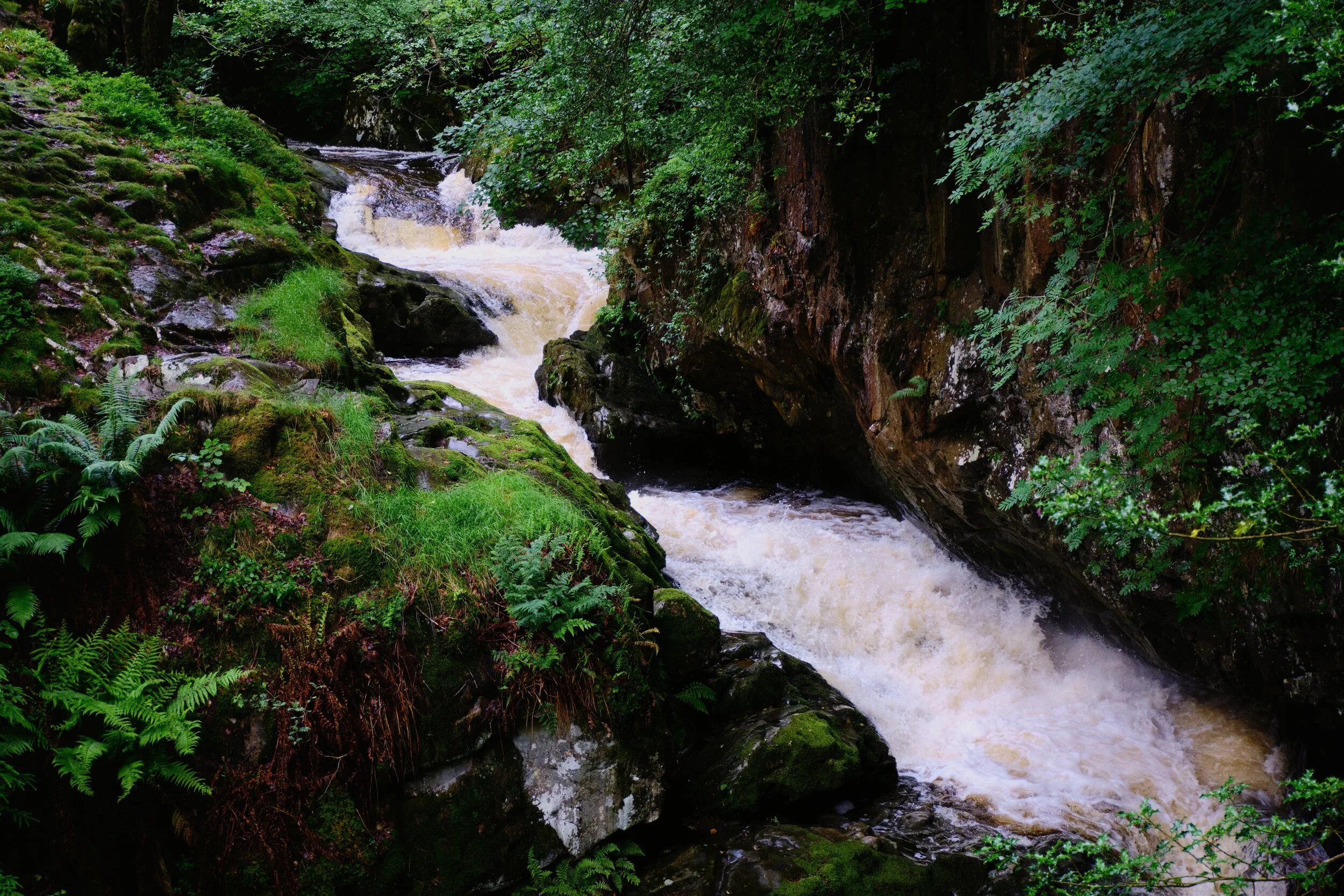 Zooming in on those details of High Force.