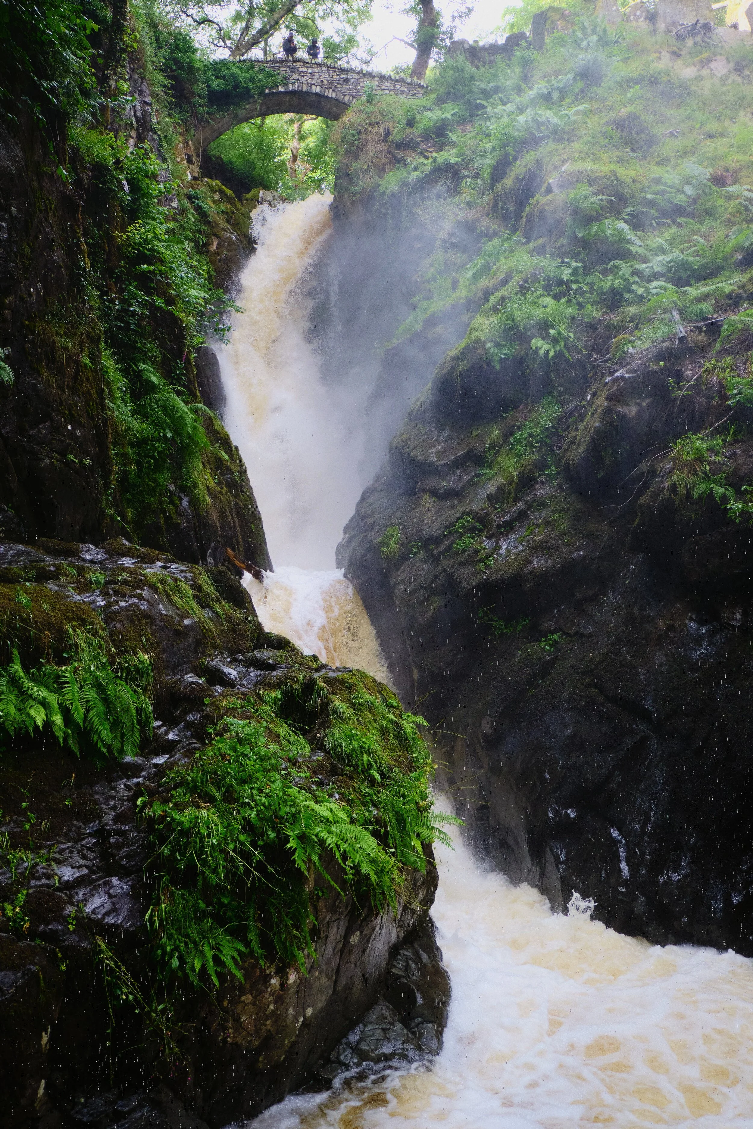 As I’ve written on this blog many times before, the word “force” comes the Old Norse fors meaning “waterfall”. The word “Aira” comes from two Old Norse words: eyrr , which means a gravel bank, and á , which is a river, giving us “river at the gravel bank” and the full name meaning “the waterfall on gravel-bank river”.