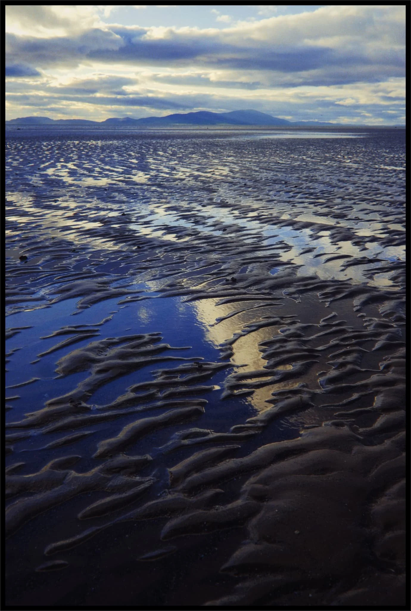  Little pools in the rippling sand made for beautiful reflections of light and colour. 