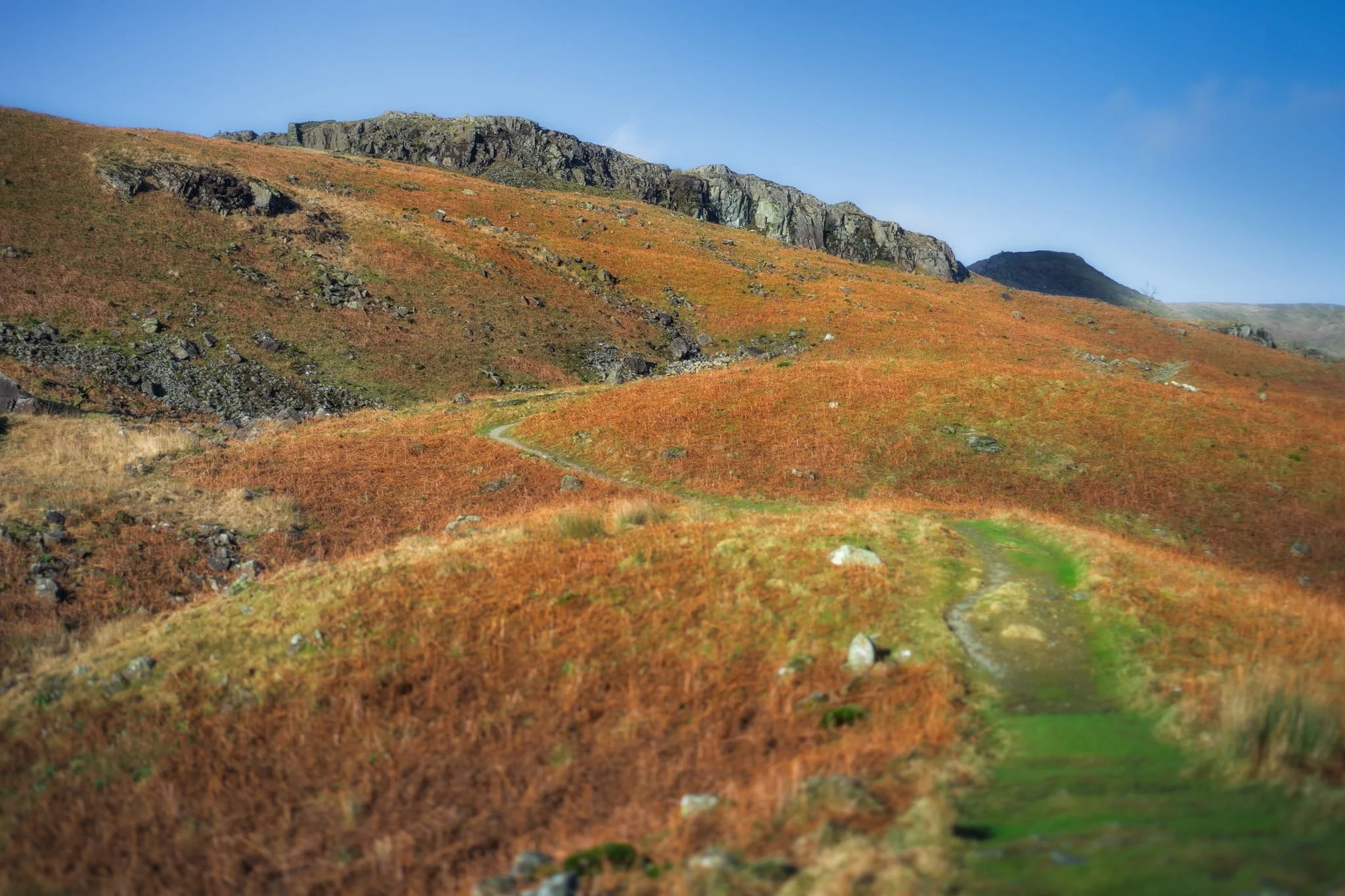 From the town centre, it’s easy enough to find the route to the High Sweden Bridge trail. Given the direction of the low sun, we opted instead to take the trail anti-clockwise, which we’ve never done before, to get more side light.