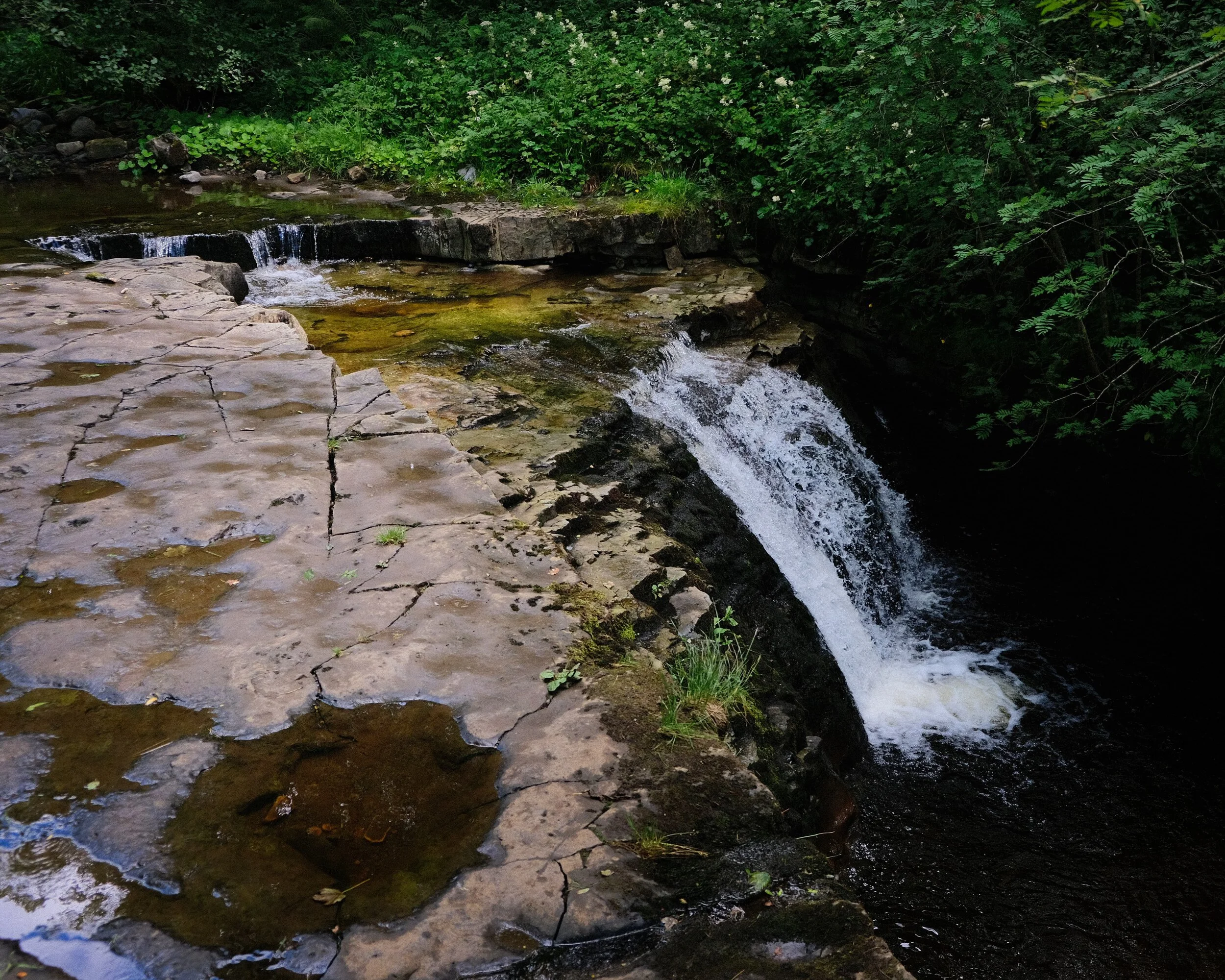  Further up the river a series of small cascades can be found, each more delightful than the next. 