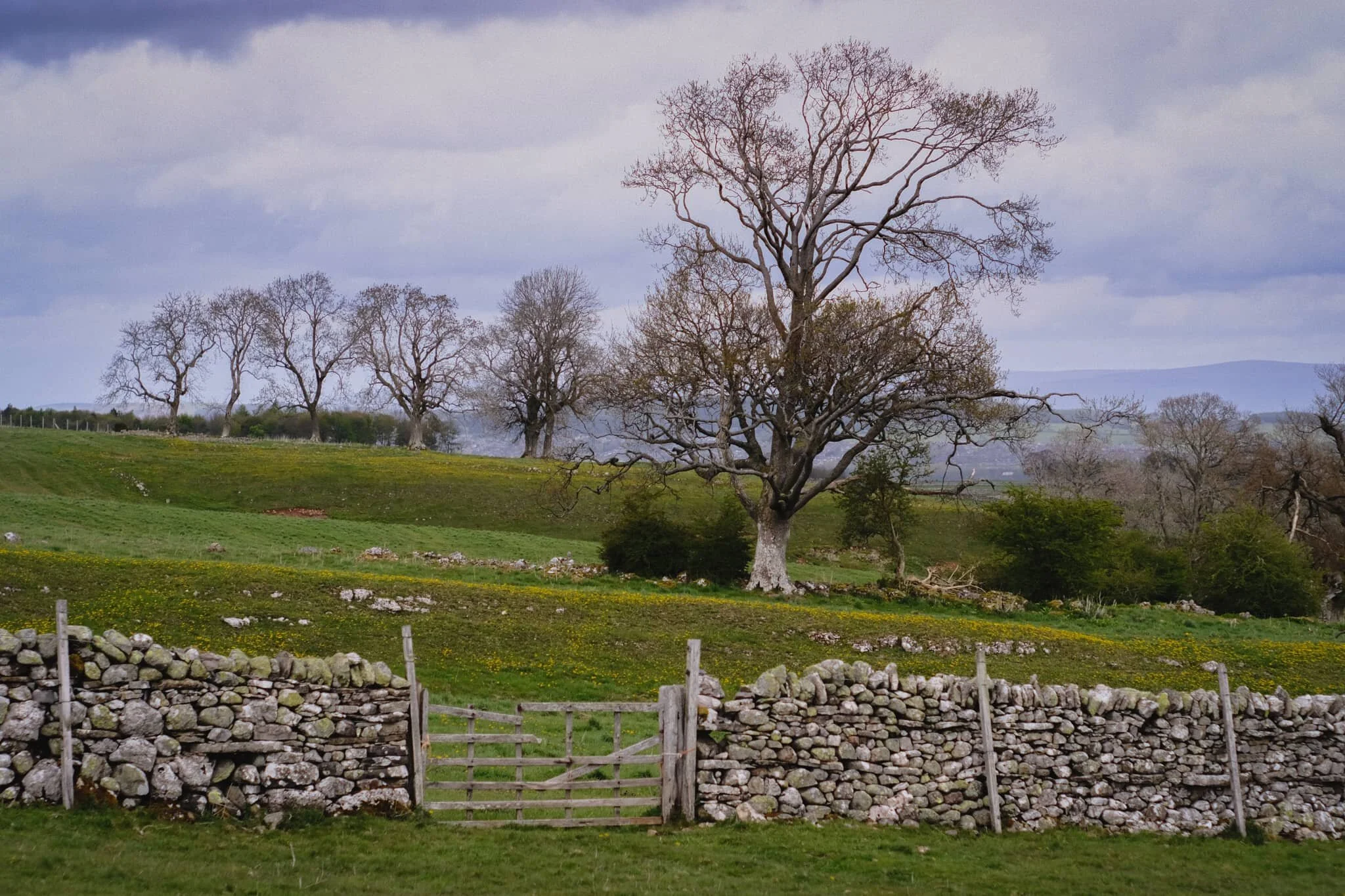  Heading back down Askham Fell. 