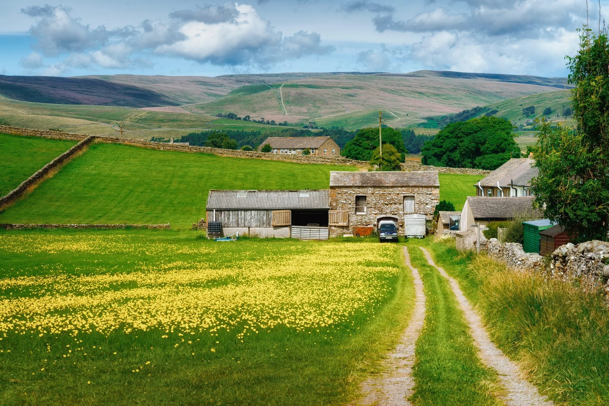 At Gayle, a field full of flowers gives us pause to consider a characteristic Yorkshire Dales scene.