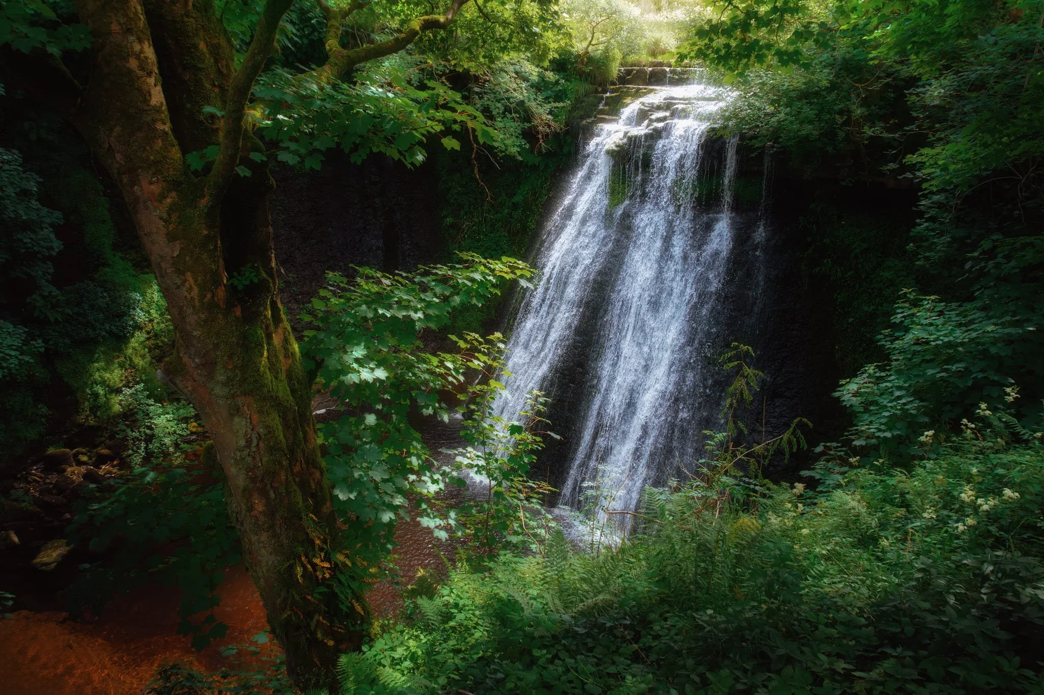 Just south of Gayle it’s enough to find the trail that leads down the woodland right alongside Gayle Beck. A little further on, Aysgill Force comes into a view, a beautiful curtain or veil of a waterfall set in a small yet deep gorge.