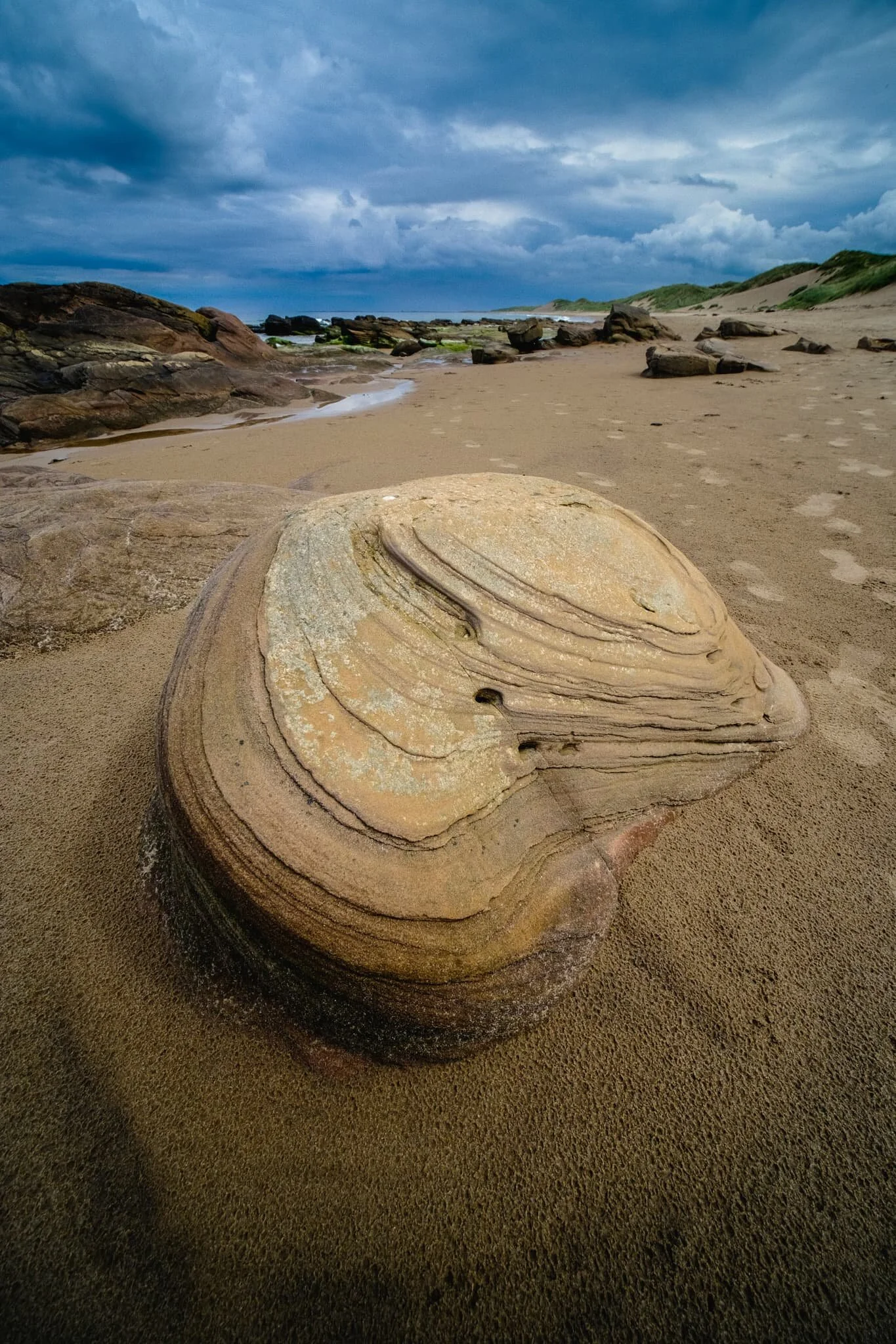  As the sun came out to play a bit more, I found this beautiful boulder that I  had  to make a composition of before we returned to the car. 