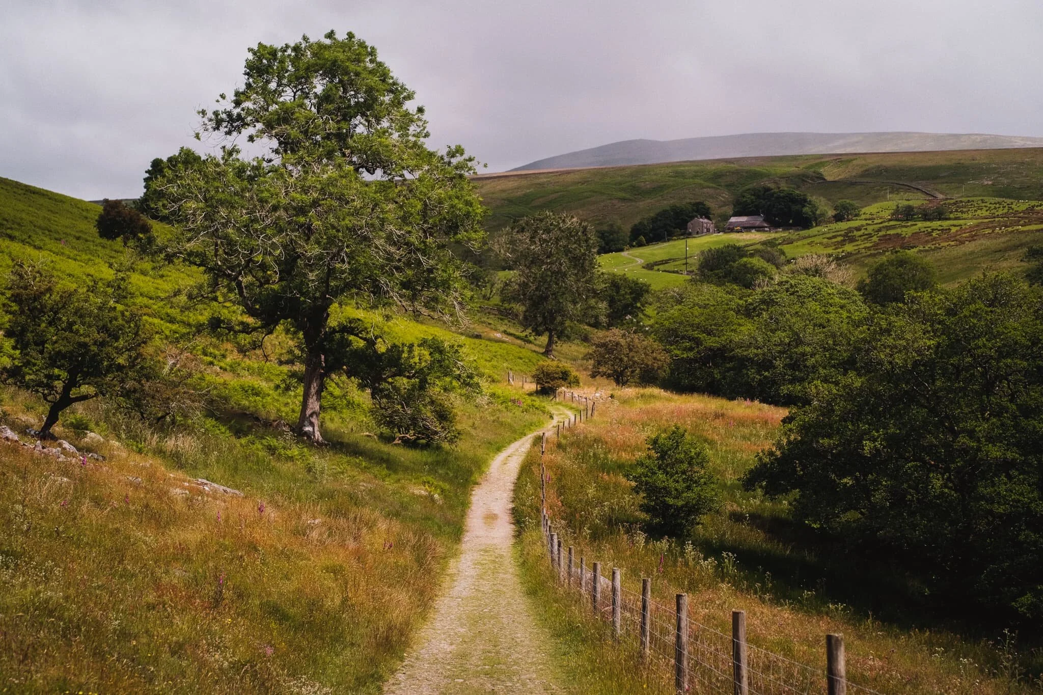 The view that greets you once you pop out of what’s left of Barbondale woods. The weather was… interesting. It was warm, but with gusts of alternating cold and hot air, interspersed with gentle sprays of rain from a distant cloud burst. You can see the cloud burst above Crag Hill in the distance.