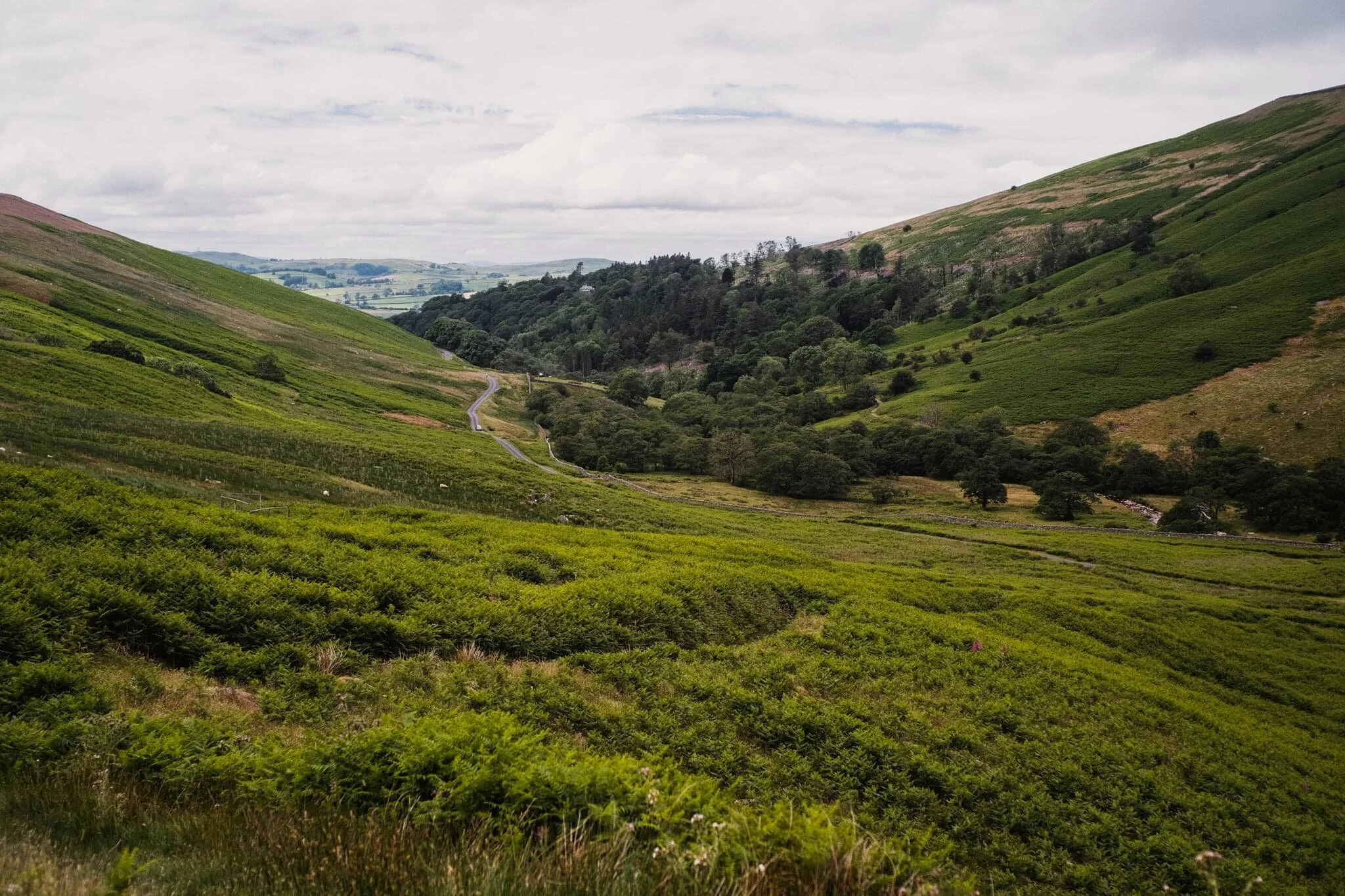 The views looking back down to Barbondale started to open up as we climbed higher.