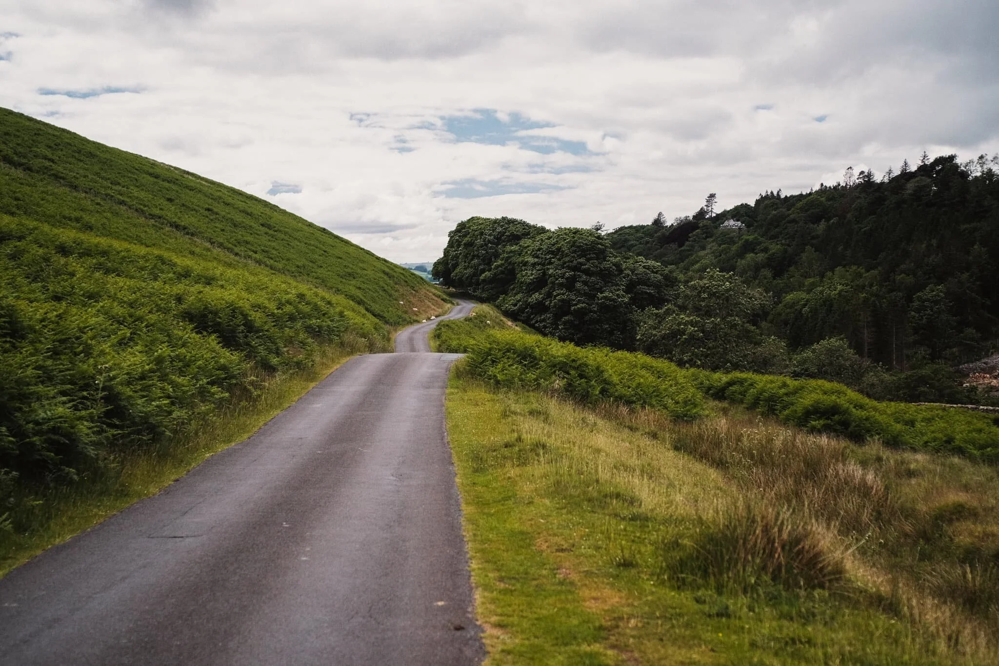 The road back to Barbon village. High in Barbondale woods to the right, you can spot Barbon Manor.