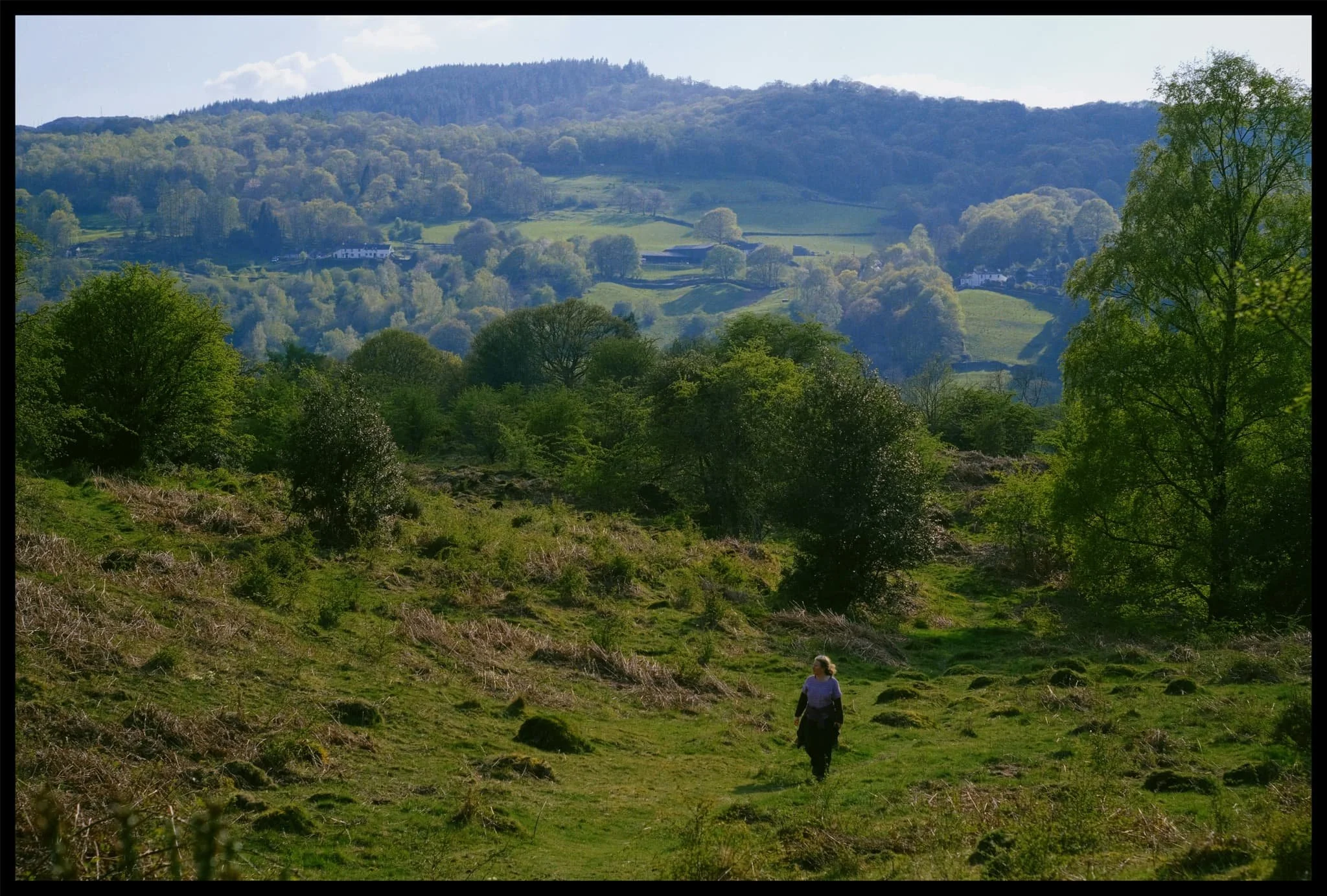  Out onto the fell side of Barkbooth Lot, the Lyth Valley fells in the distance. 