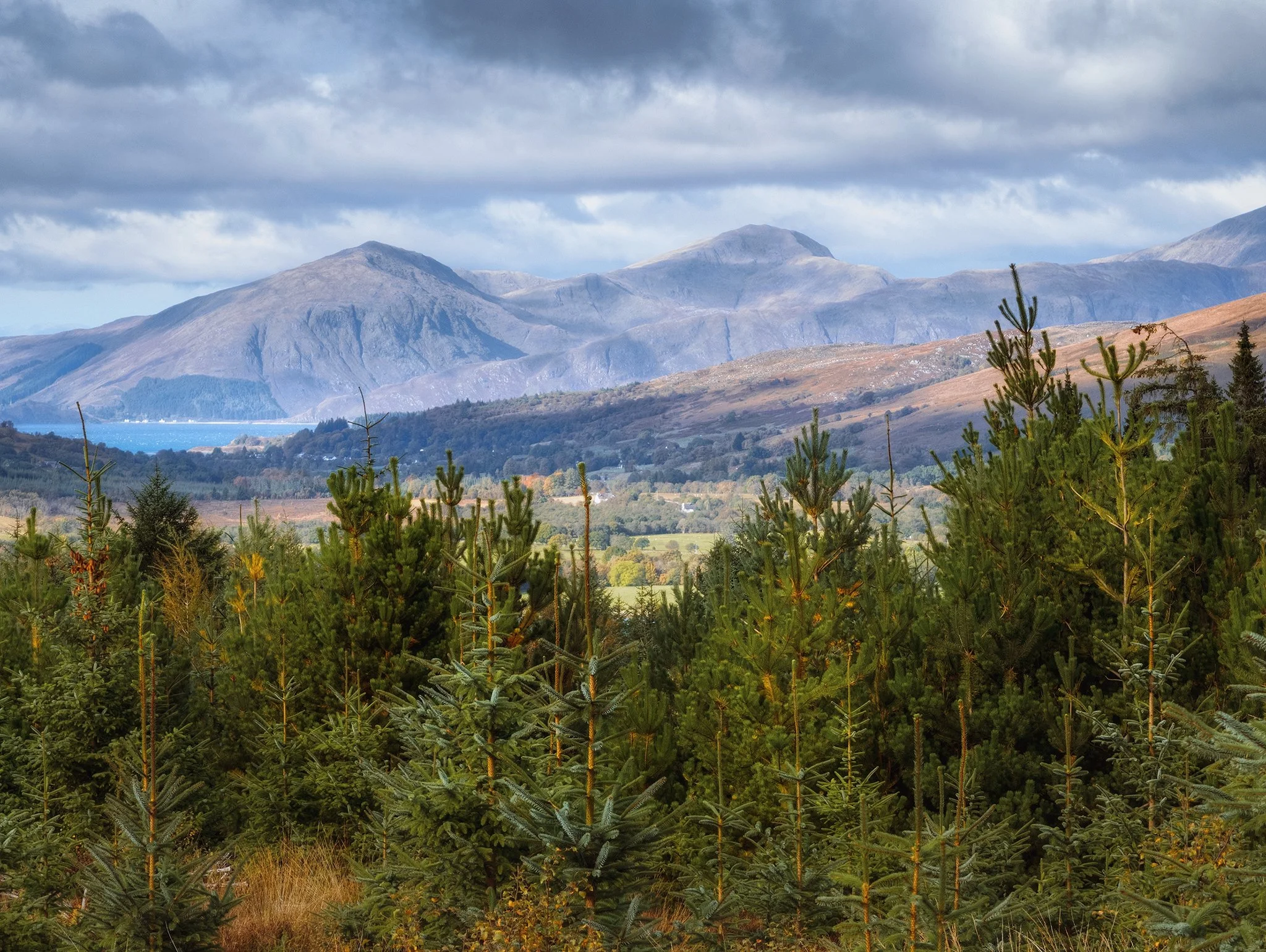  Another corker of a view towards the Kingairloch mountains, with  Loch Linnhe  just coming into view. 