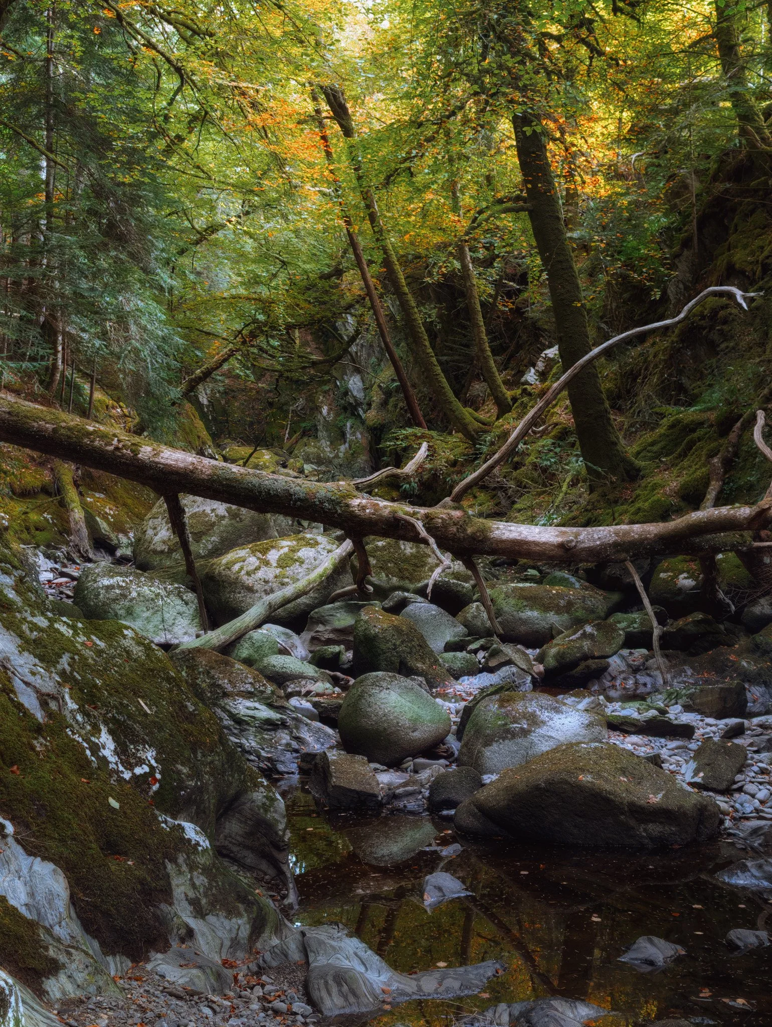 Now at the bottom of the gorge, with beautiful autumn colour on fire above. 