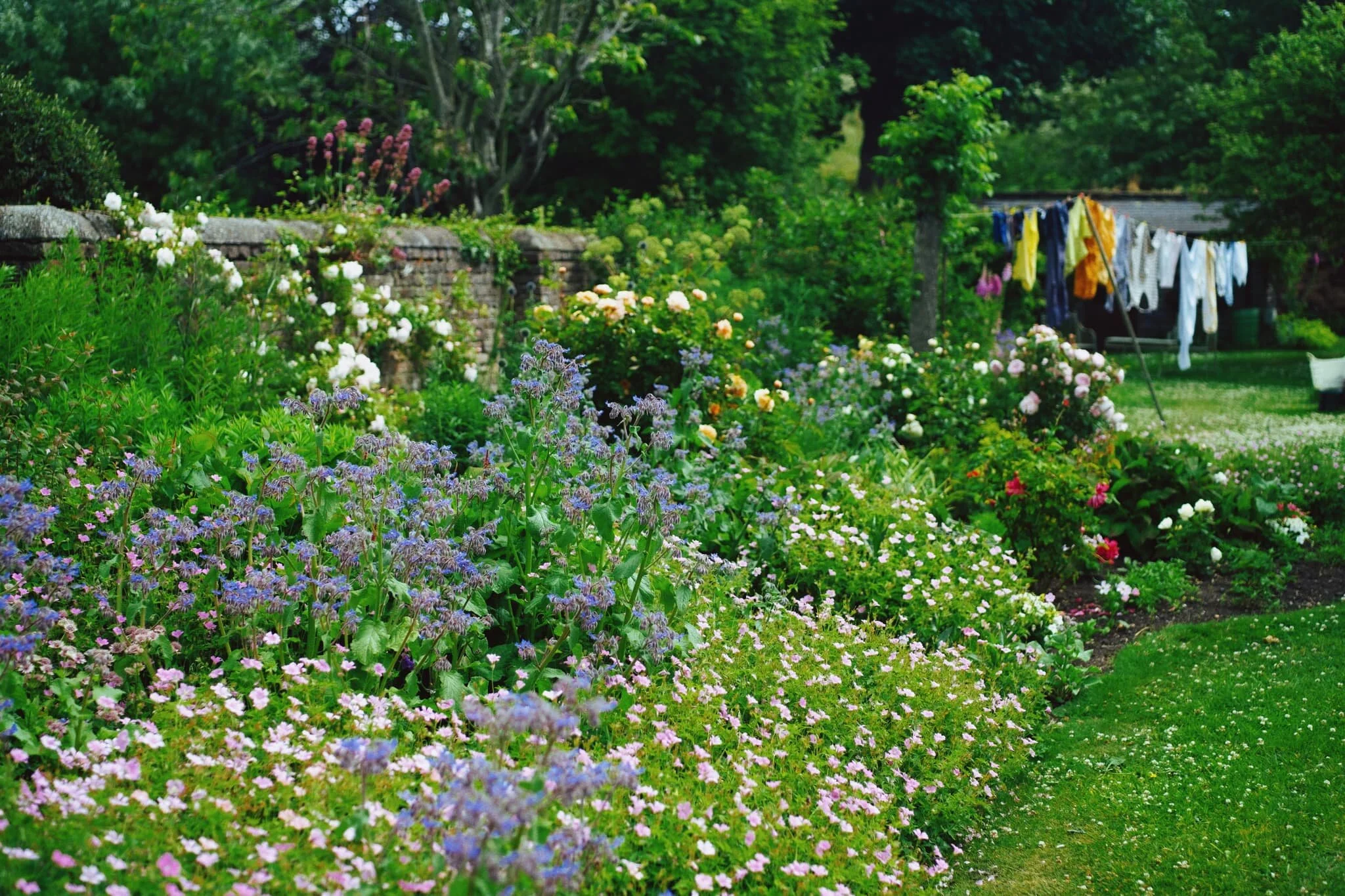  Her garden was, indeed, glorious. 