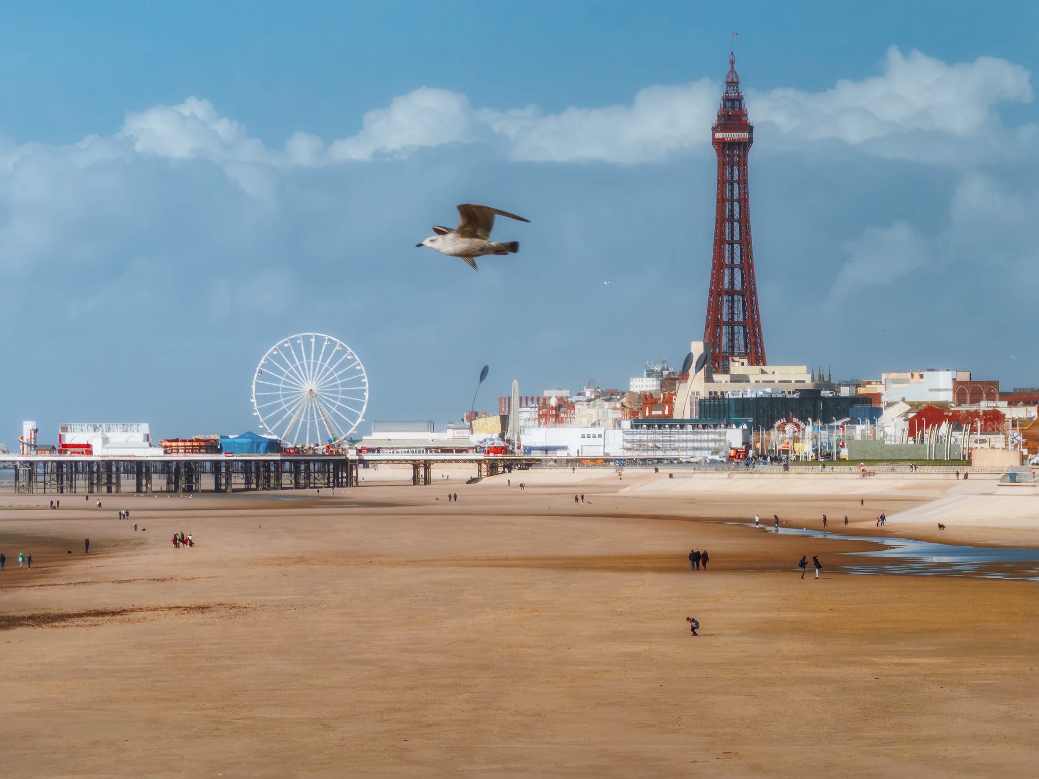 Using the iPhone’s 8x zoom for a tighter composition of Blackpool Tower and the Big Wheel, I was fortuitous to also capture a juvenile seagull zooming across the scene!