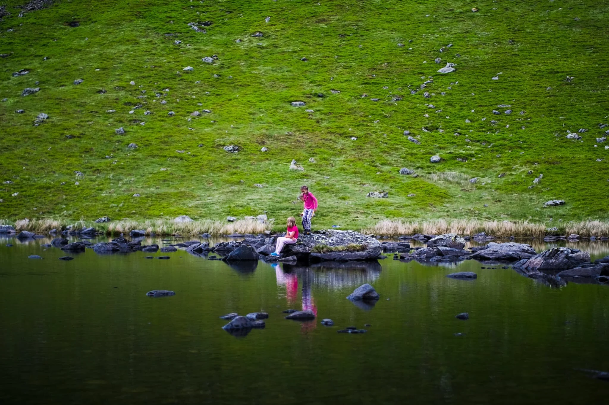 We made it to the tarn, preceded by fellow hikers and families enjoying the delights of nature.