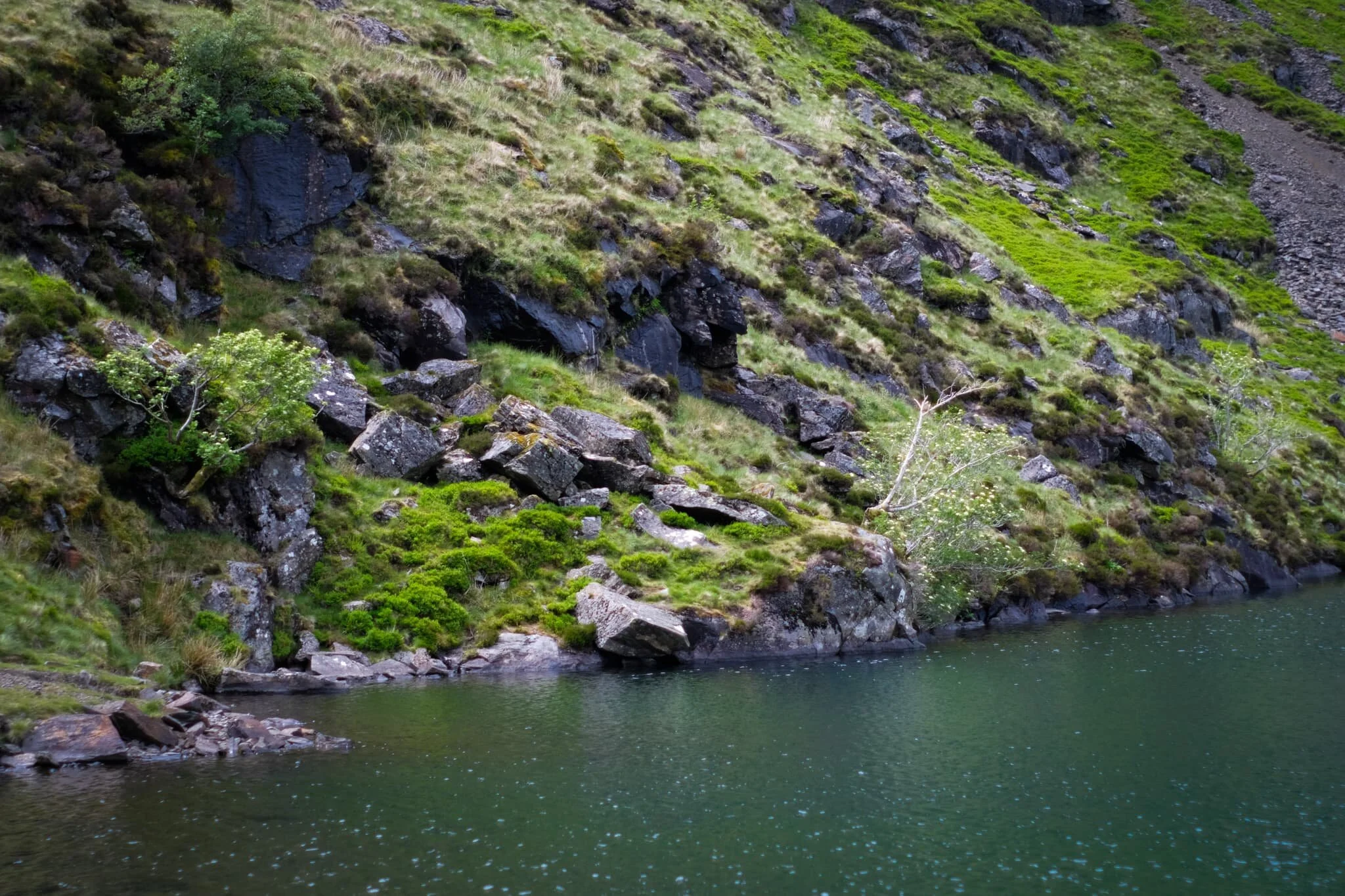 This part of the shoreline marks the end of our way around the tarn. A brief opening in the clouds above softly illuminates the scene.