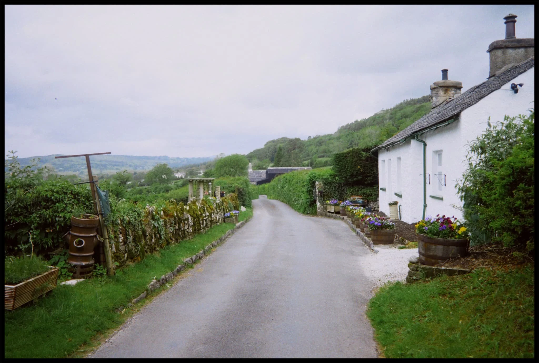  Looking back at this impossibly idyllic scene before we head into the woods. 