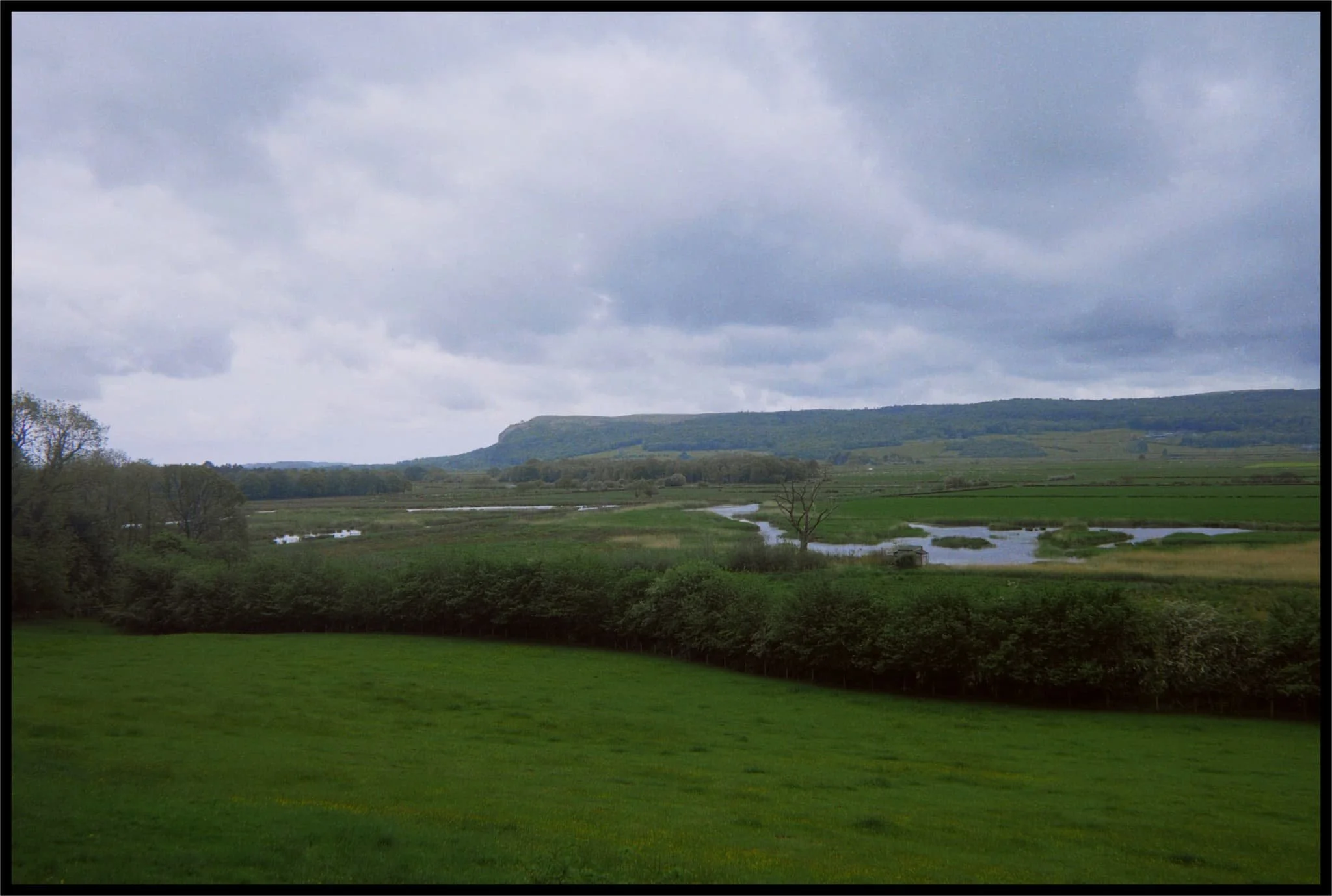  Whitbarrow Scar once again commanding our attention from across the Lyth Valley. 