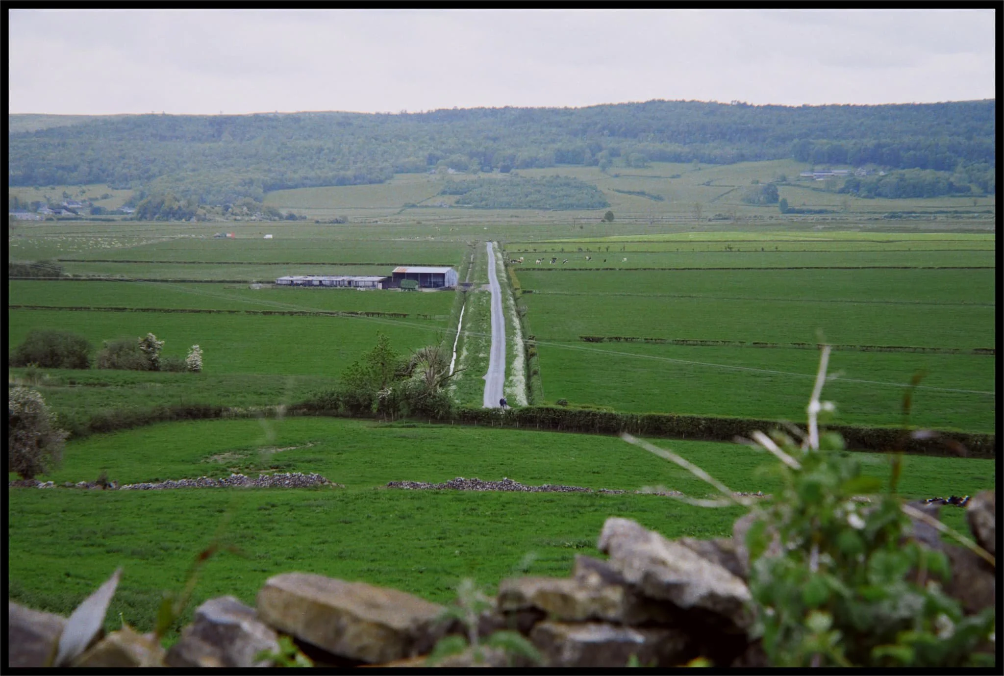  Brigsteer Causeway, which cross the wetter and more swamp-like part of the Lyth Valley. 