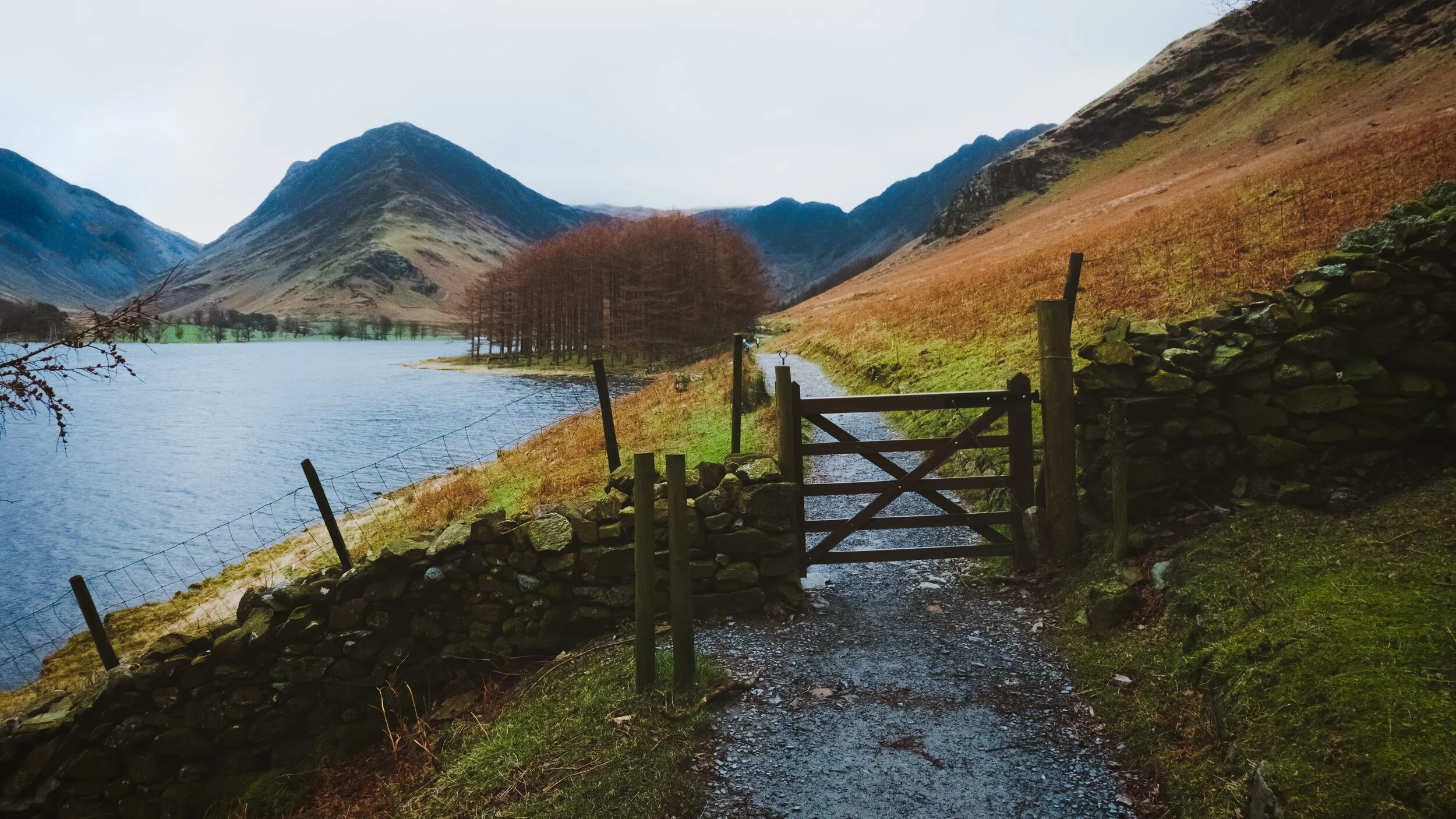  Out of the woods and into the open fellside. Fleetwith Pike remains steadfast in our view, but Haystacks starts to make an appearance towards the right. 