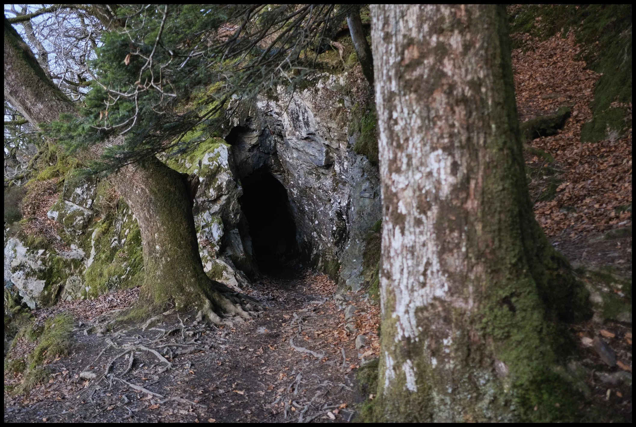 In order to carry on walking around the northern shore of Buttermere, you need to navigate through Hassness Tunnel. 