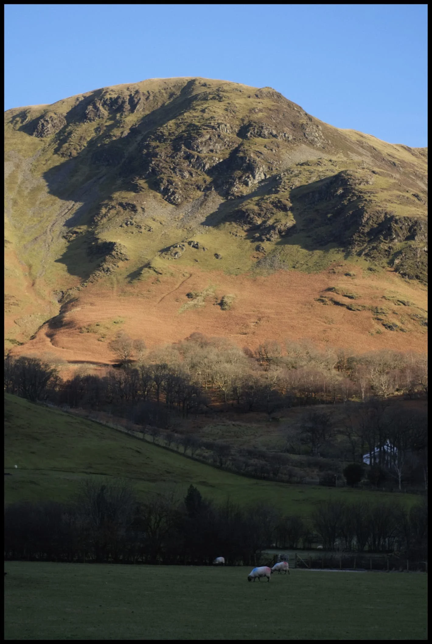  What a gorgeous day. 