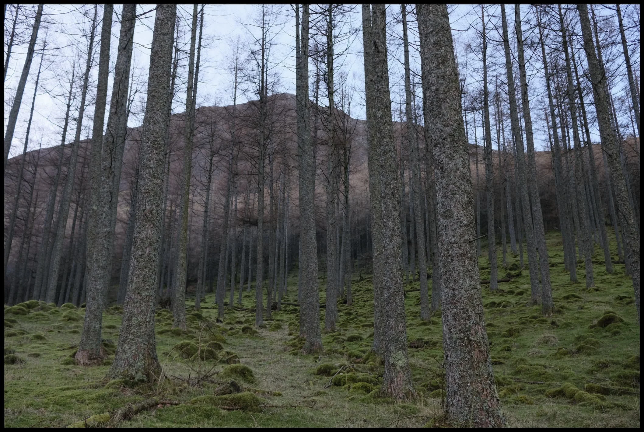  Directly above us, the High Stile range looms over our heads. 