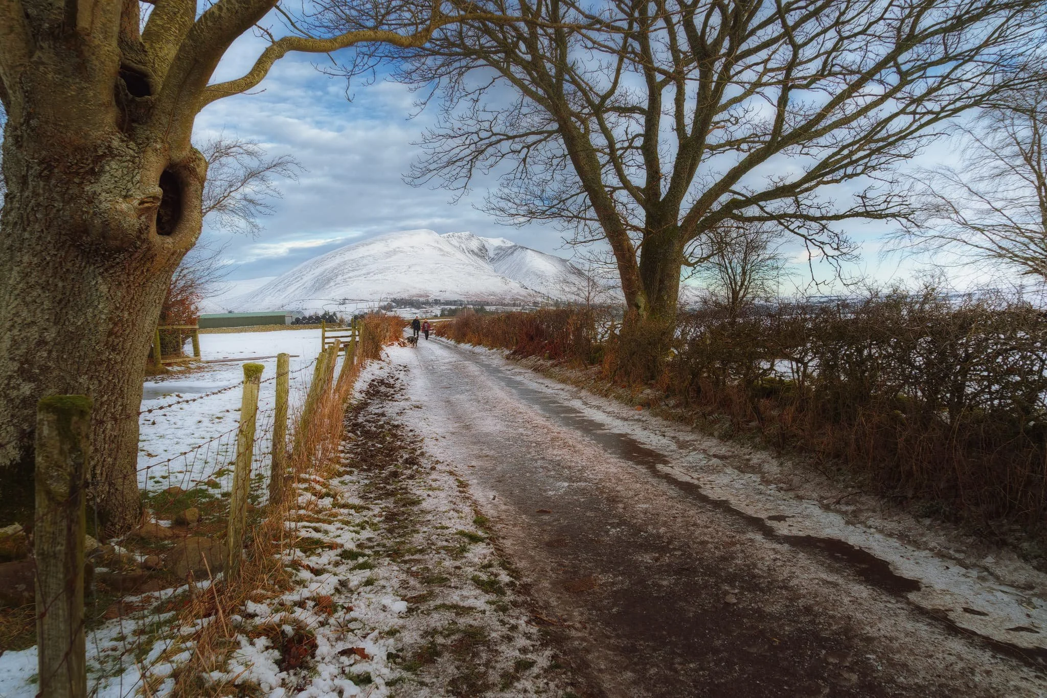 We took the old Castlerigg Lane north towards the stone circle, dodging ice wherever we could. When we came across these two bare trees, I framed the distant Blencathra using the trees’ branches as an arch.