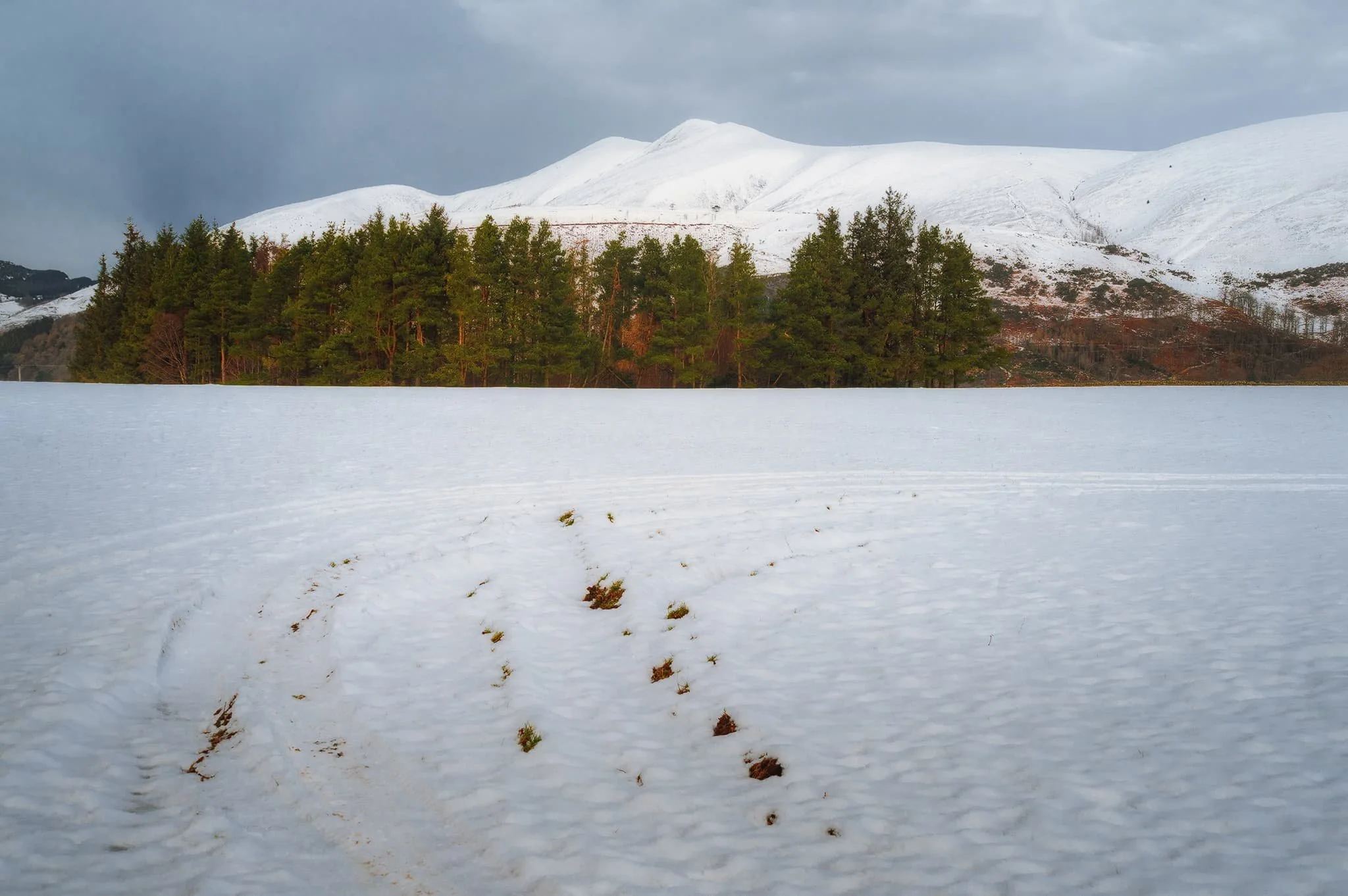 Across the snow-covered fields towards the pristine peak of Skiddaw.
