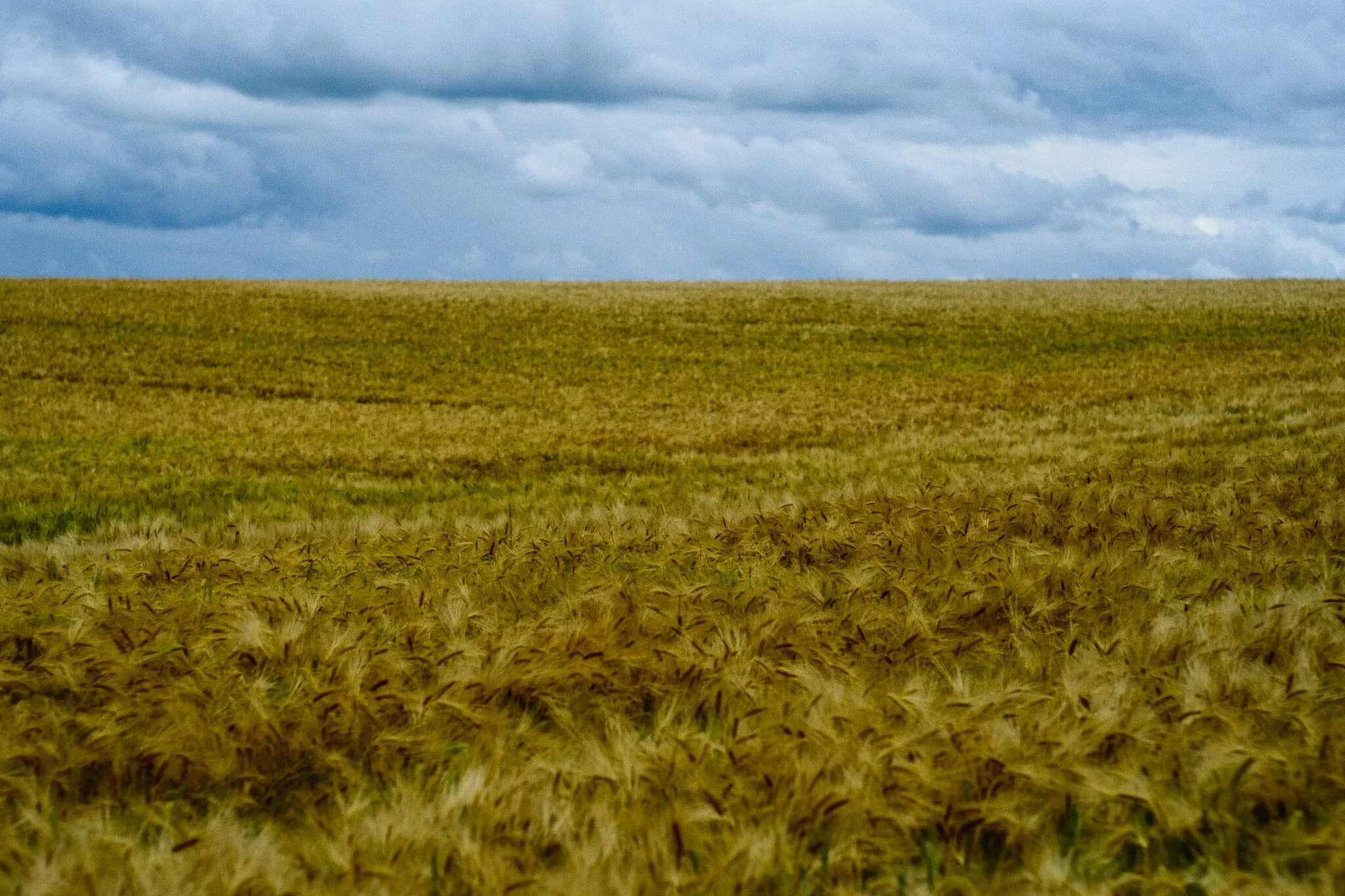  10-minutes south-by-southeast of Norham is the tiny village of Duddo. We parked up at a lay-by just outside the village to take the farmer-permitted access track to Duddo Stone Circle. The land around here seemed primarily used for growing crops of wheat, and their sea-like wavering in the wind mesmerised me. 