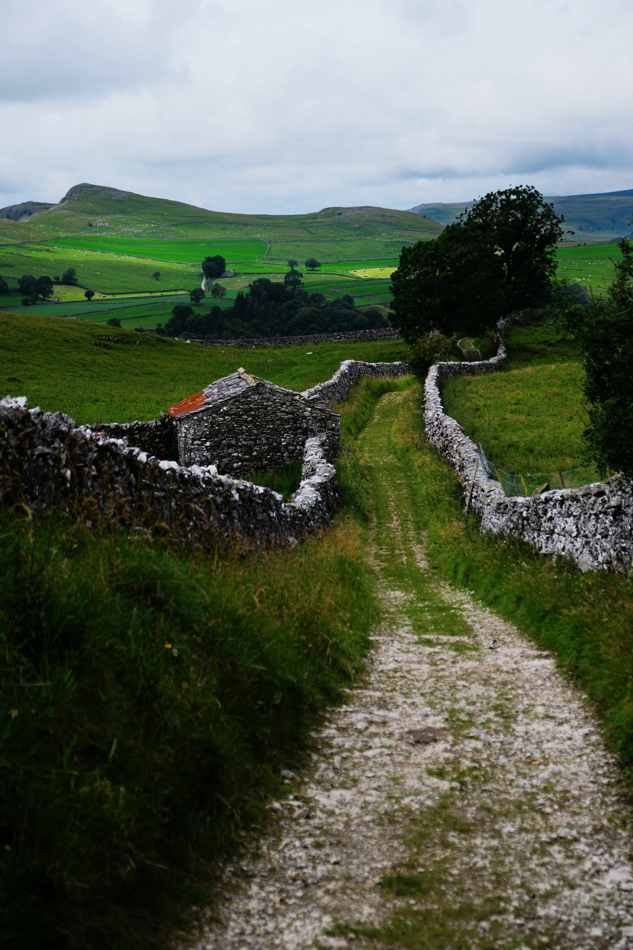  Can never resist a shot of the drystone walls of the Yorkshire Dales. 
