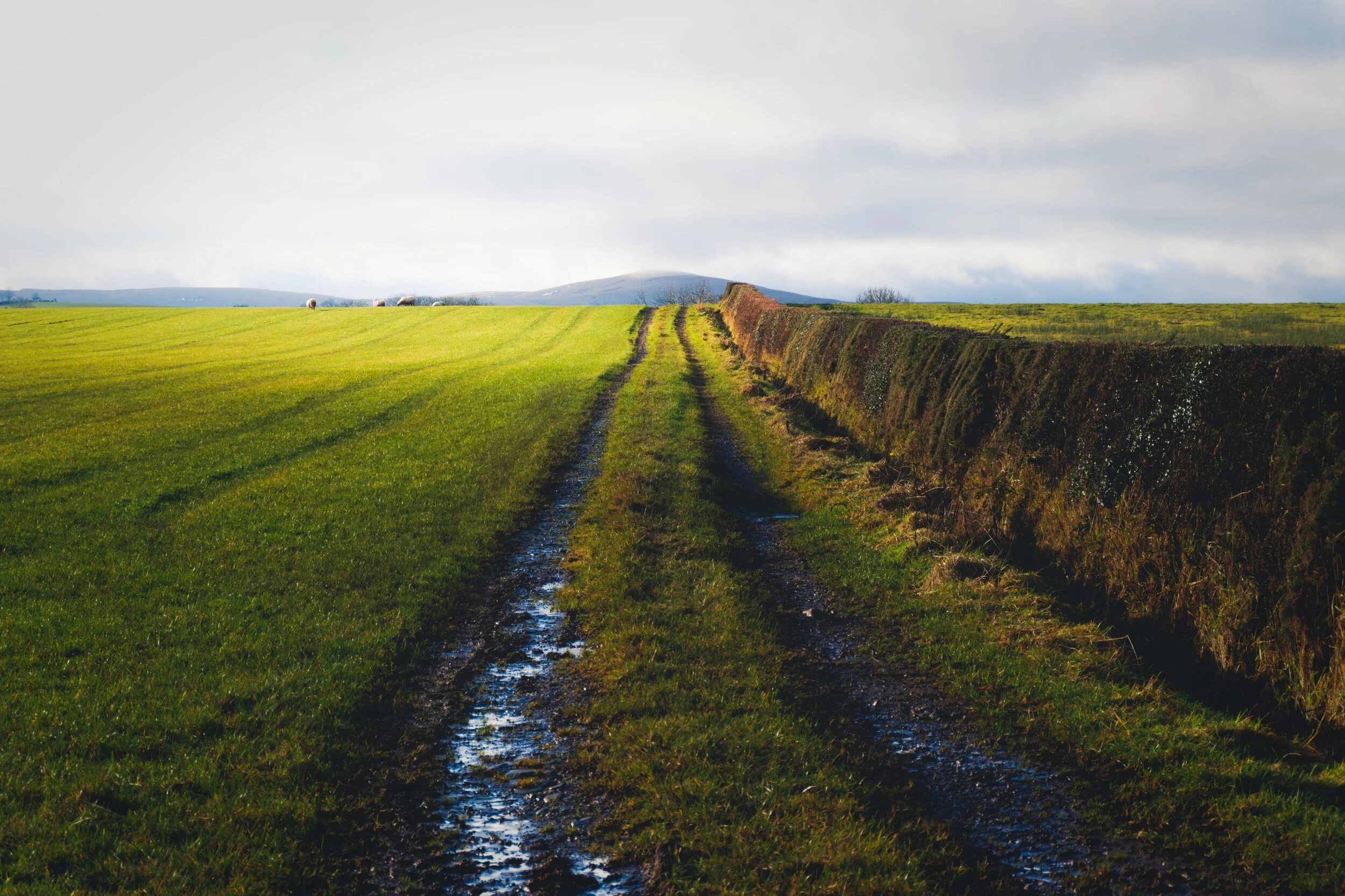 Sowerby_Dads_Christmas 01