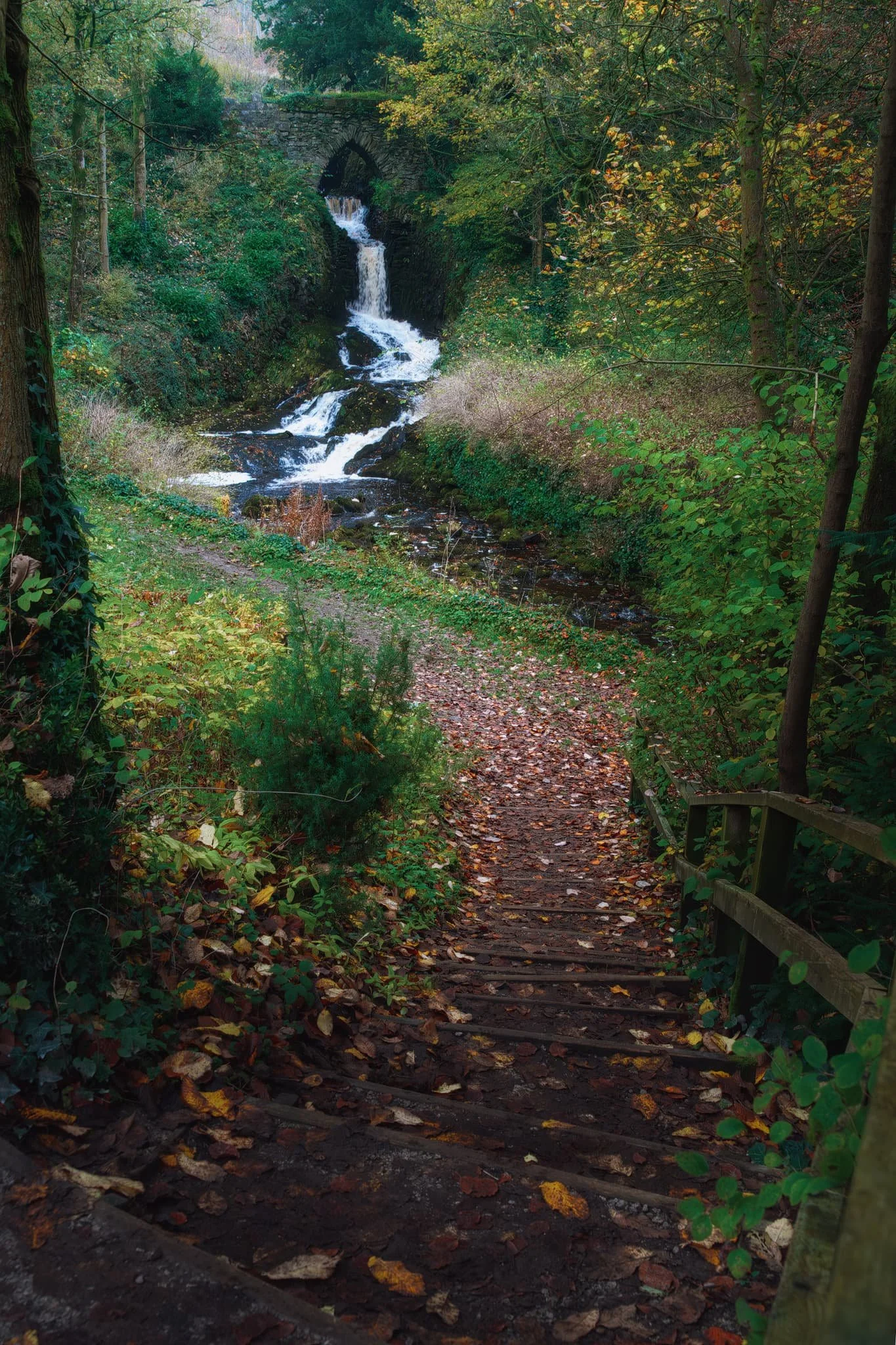  This beautiful waterfall, like a lot of features in Clapham, is man-made. The Farrer family, especially Reginald Farrer, have from their home in Ingleborough Hall developed Clapham village for over a century.  