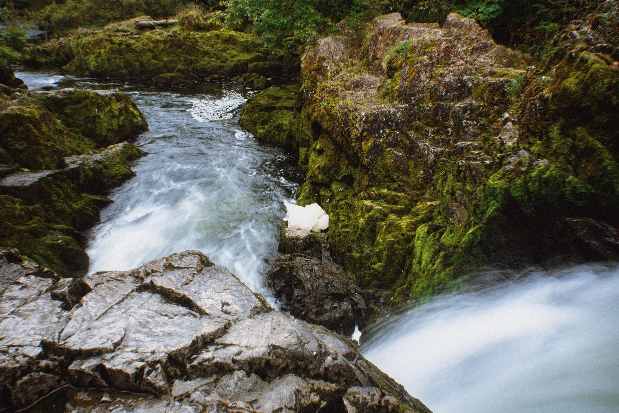 Colwithforce_Small 00