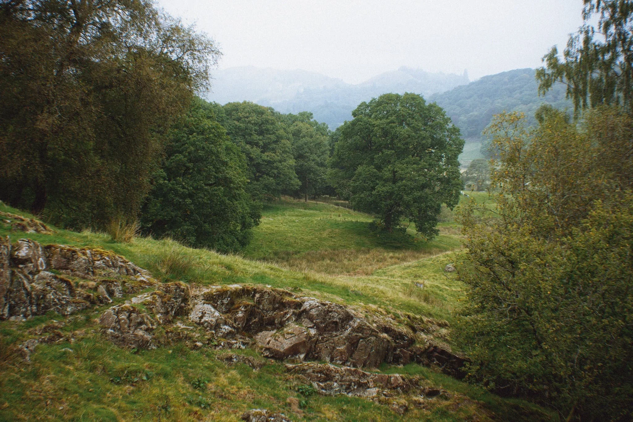 Colwithforce_Small 02