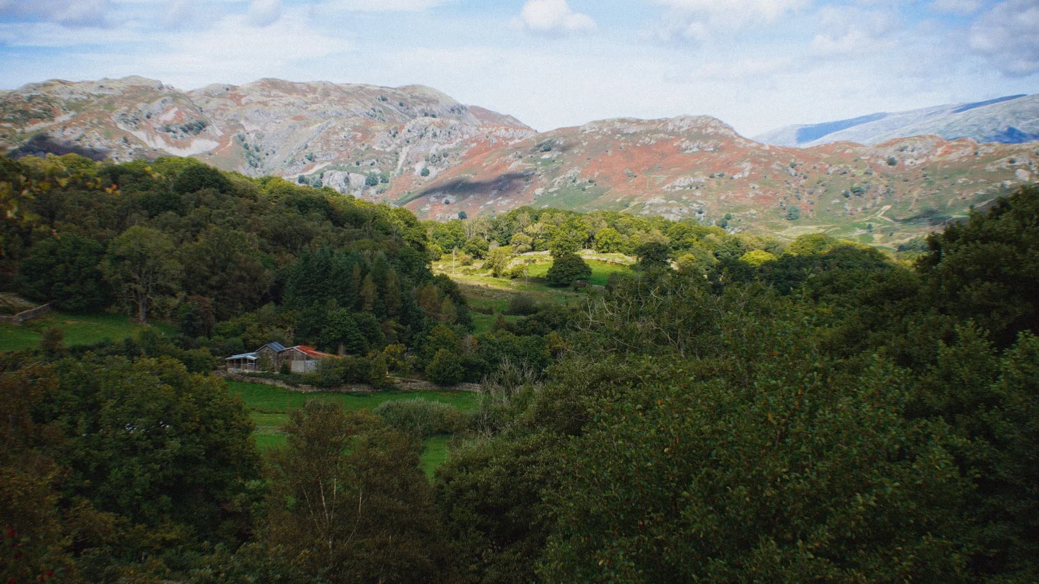 Colwithforce_Small 08