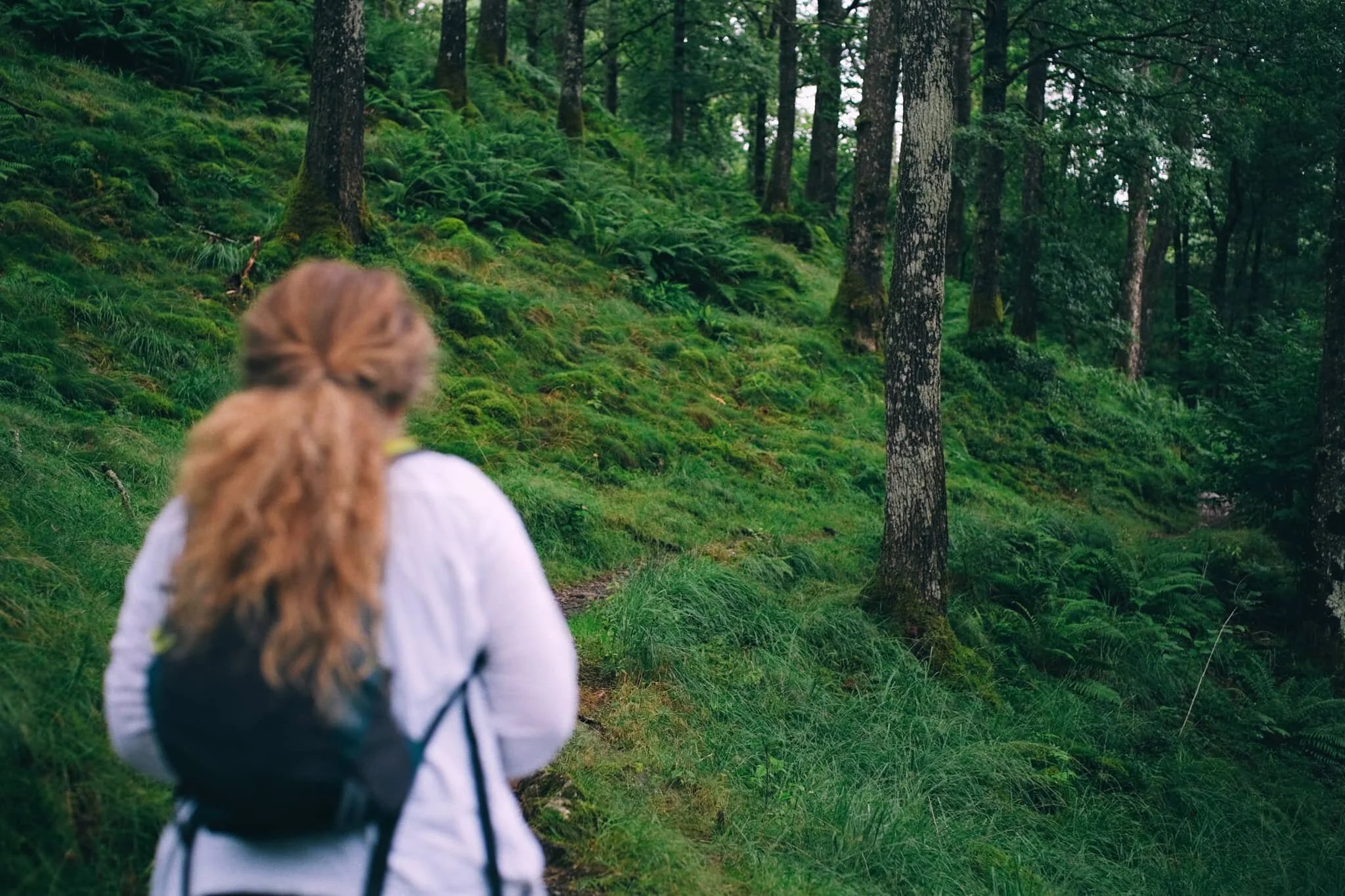 Heading to Colwith Force. Already we can here the bassy roar of the twin spouts…
