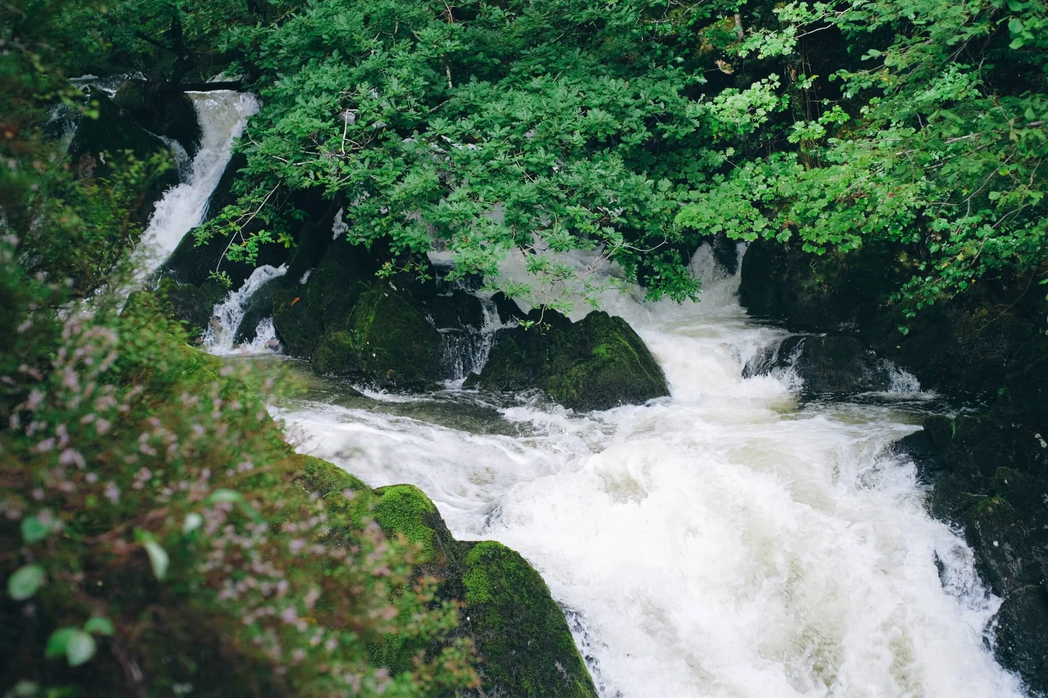 We climbed the pitched path to get to the upper part of the falls, teetering near the top of the main falls.