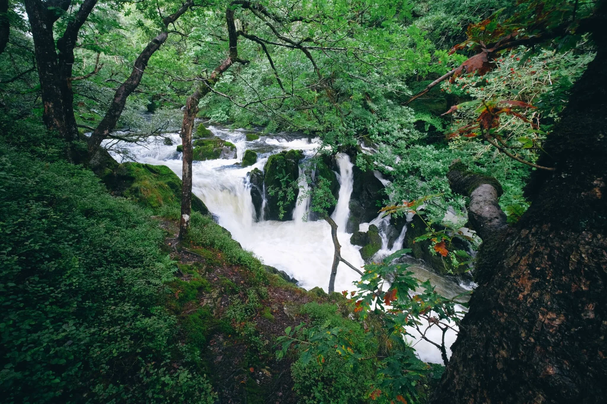 One final look at the upper falls before we climb higher through the woods.