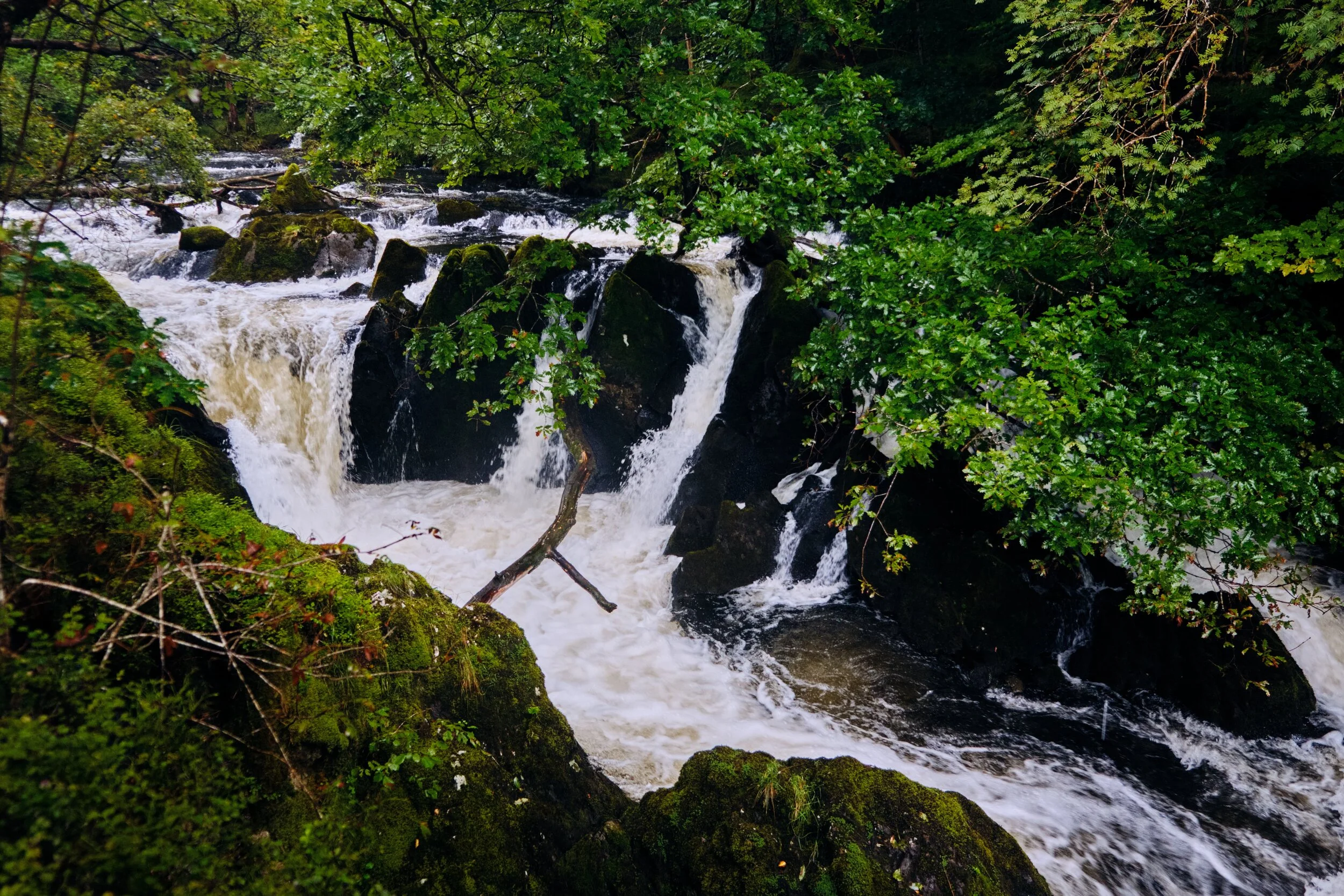  The upper section of Colwith Force. You could  feel  the sub-bass roaring of the crashing water before you saw it. 