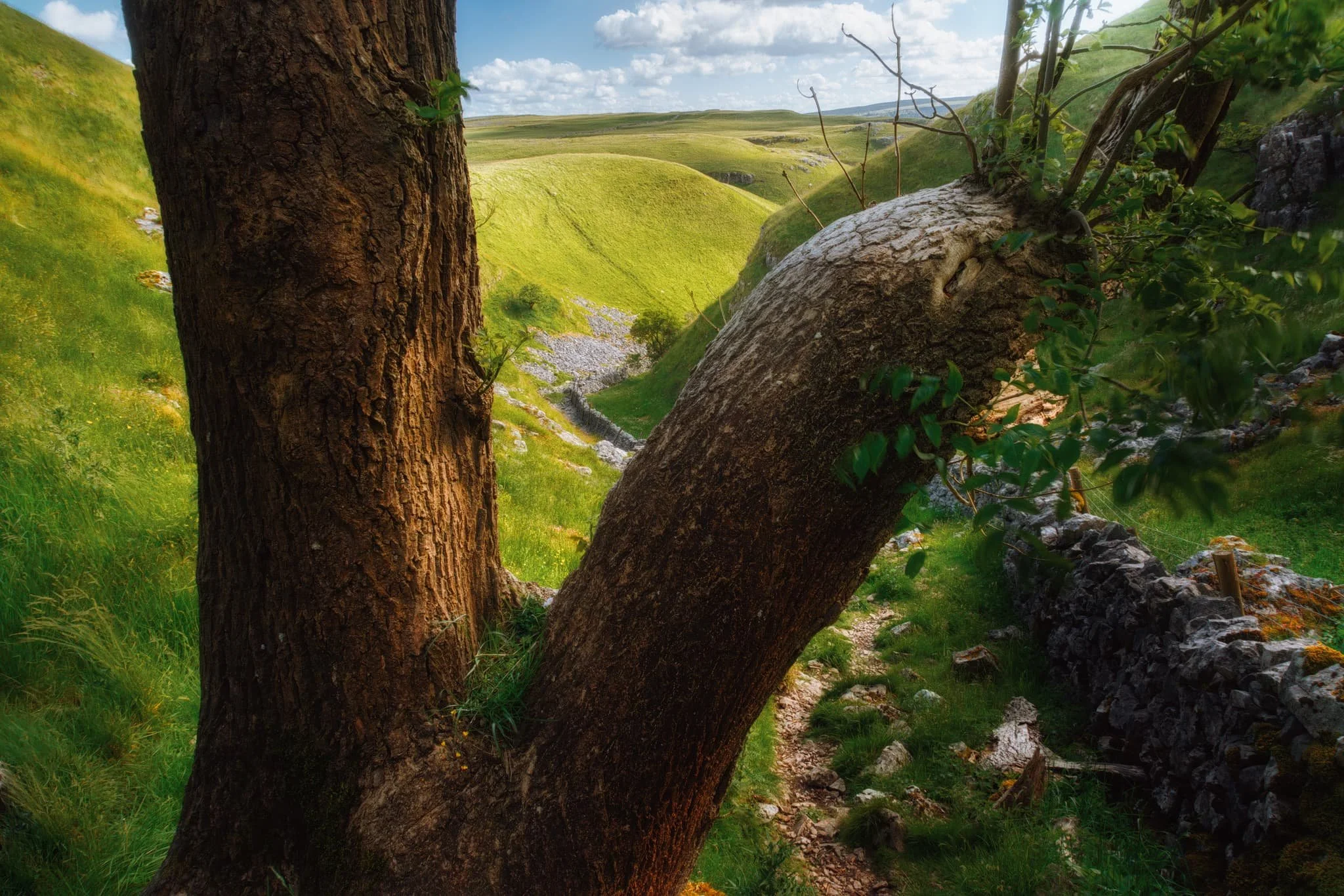  We scramble our way up and out of the gorge, but not before I turn back around and nab this composition from behind one of the &ldquo;guardians&rdquo;, using them to frame the gorge back downstream. 