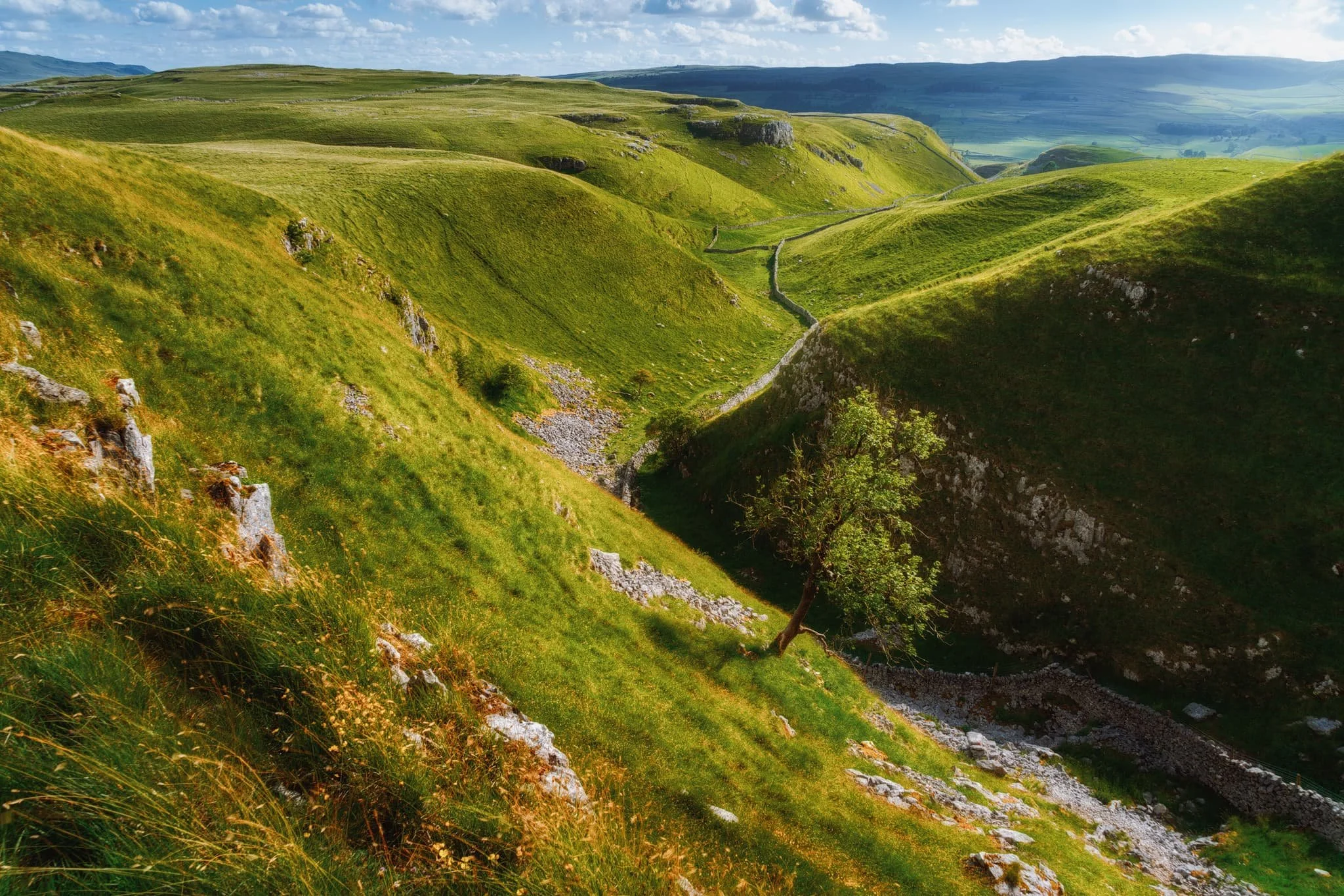  From above the Dib, multiple trails criss-cross each other towards a multitude of destinations. We took a small diversion around the top of the gorge, and found this stunning composition of Conistone Dib gorge, with the Upper Wharfedale fells beyond. 