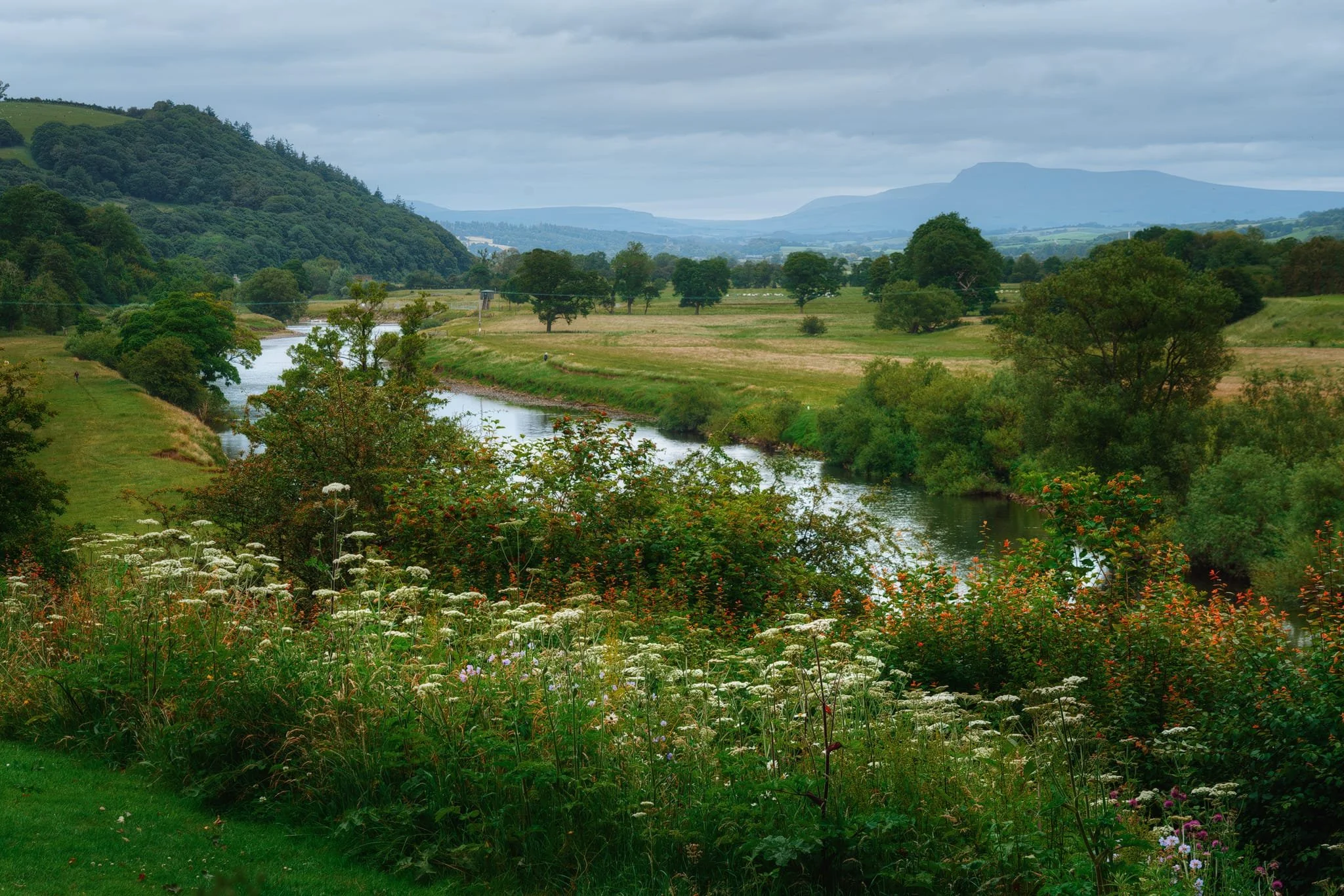 The famous view of the Crook o’ Lune, ringed by wildflowers with the shadow of Ingleborough looming in the distance. The steep hill to the left, View Field, is what contributes to the sudden change in direction of the Lune.