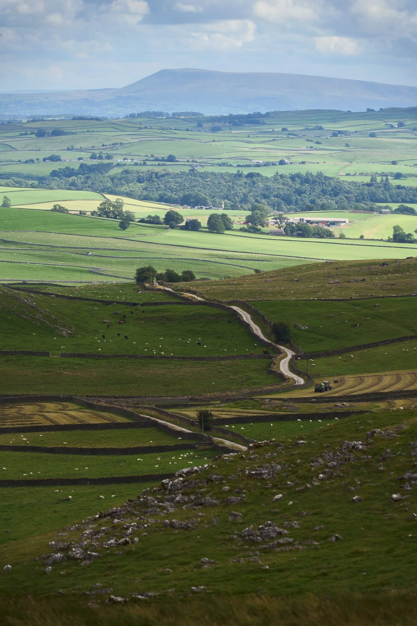 Crummack Farm were busy hay bailing, adding scale and context to a beautiful Yorkshire Dales scene with Pendle Hill looming in the distance.