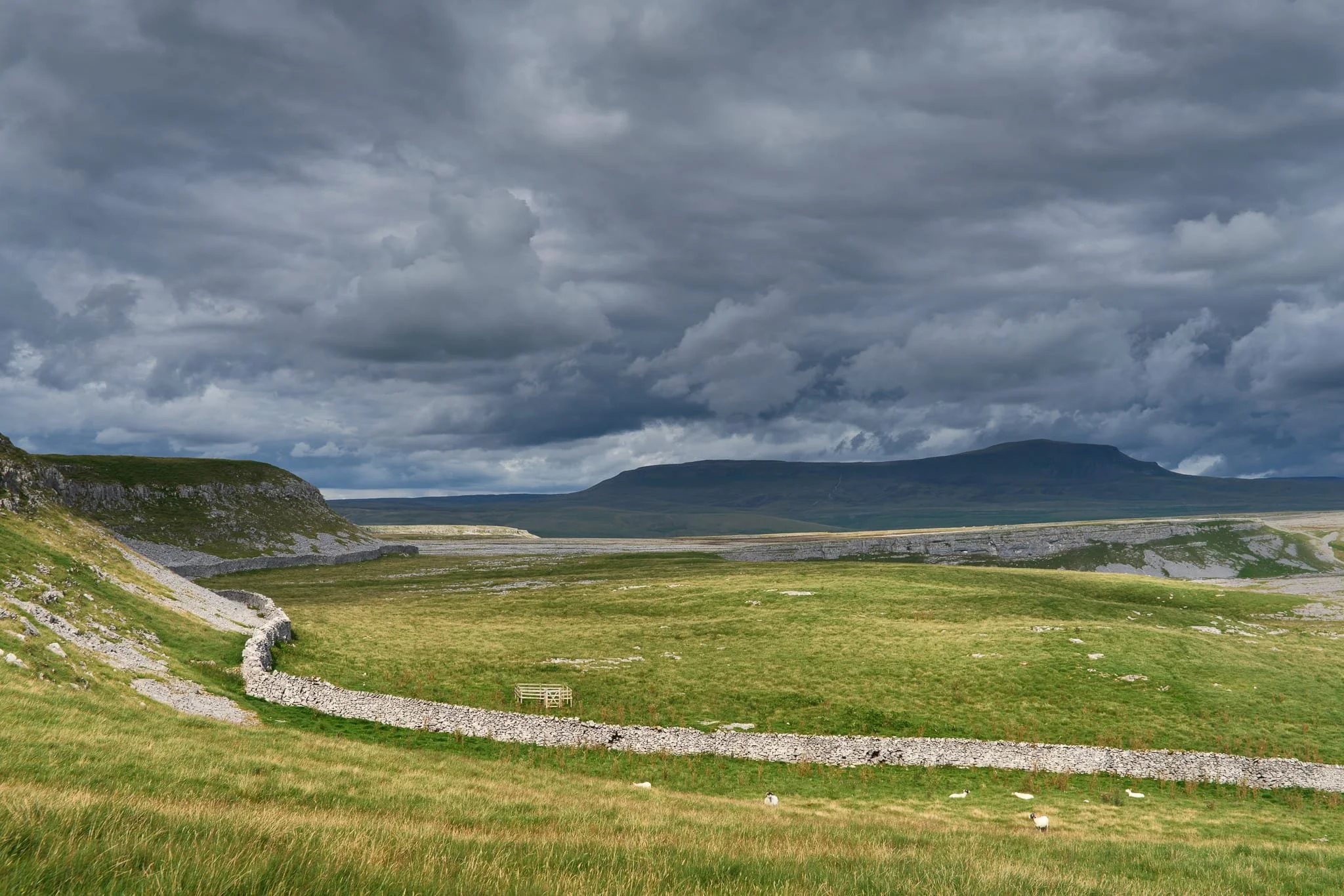 Further on, a strong burst of sun drenched the foreground with its curving drystone wall in golden light, leaving the dark Pen-y-Ghent brooding under the stormy sky.