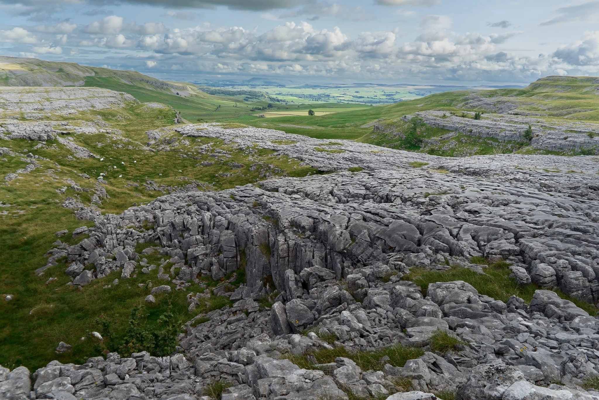 Of course, Lisabet and I clambered down to play around the extensive limestone pavement at the head of Crummackdale.