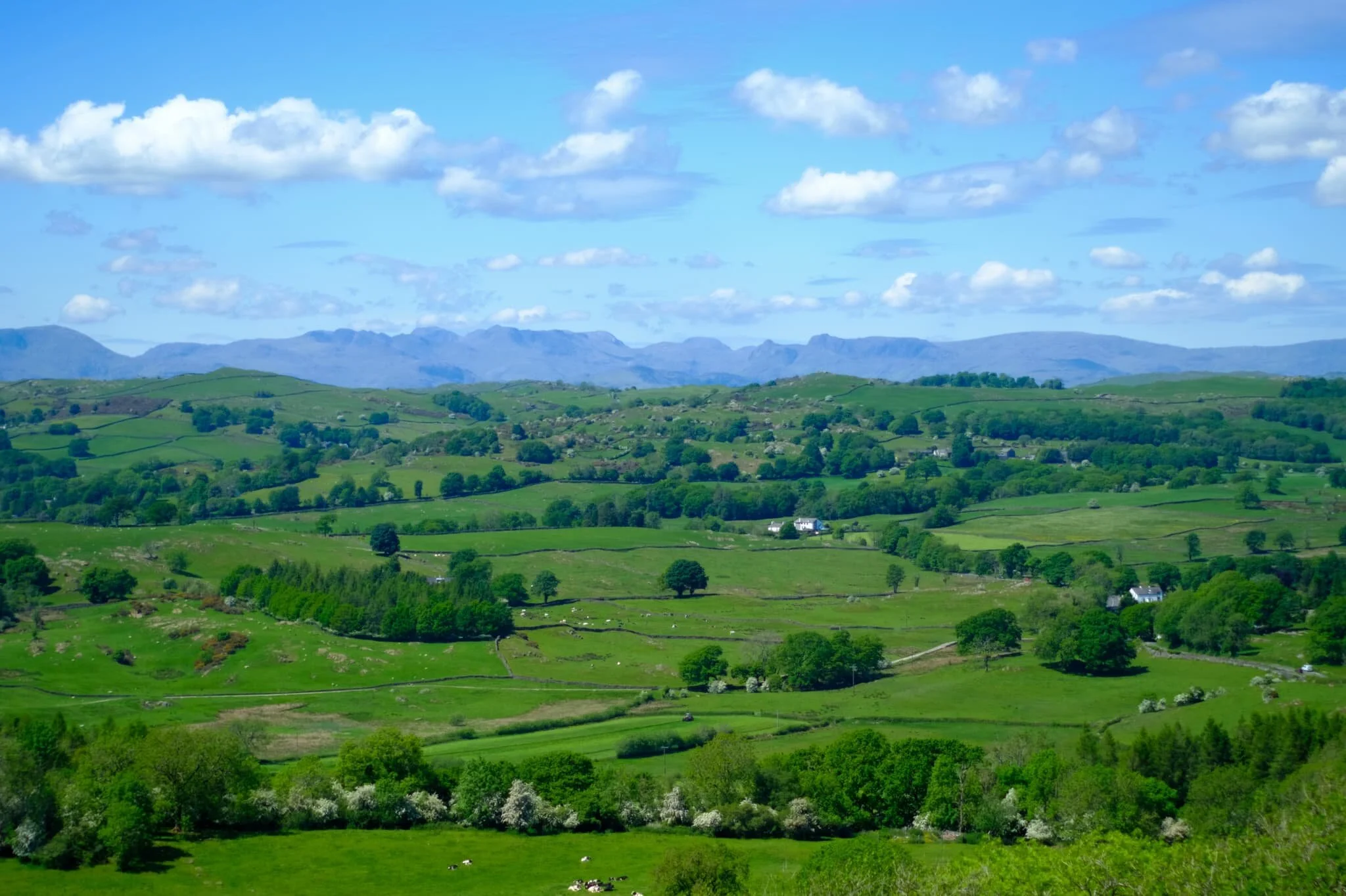 The Lake District fells across the Lyth Valley from Cunswick Fell. It doesn’t get a lot better than this.