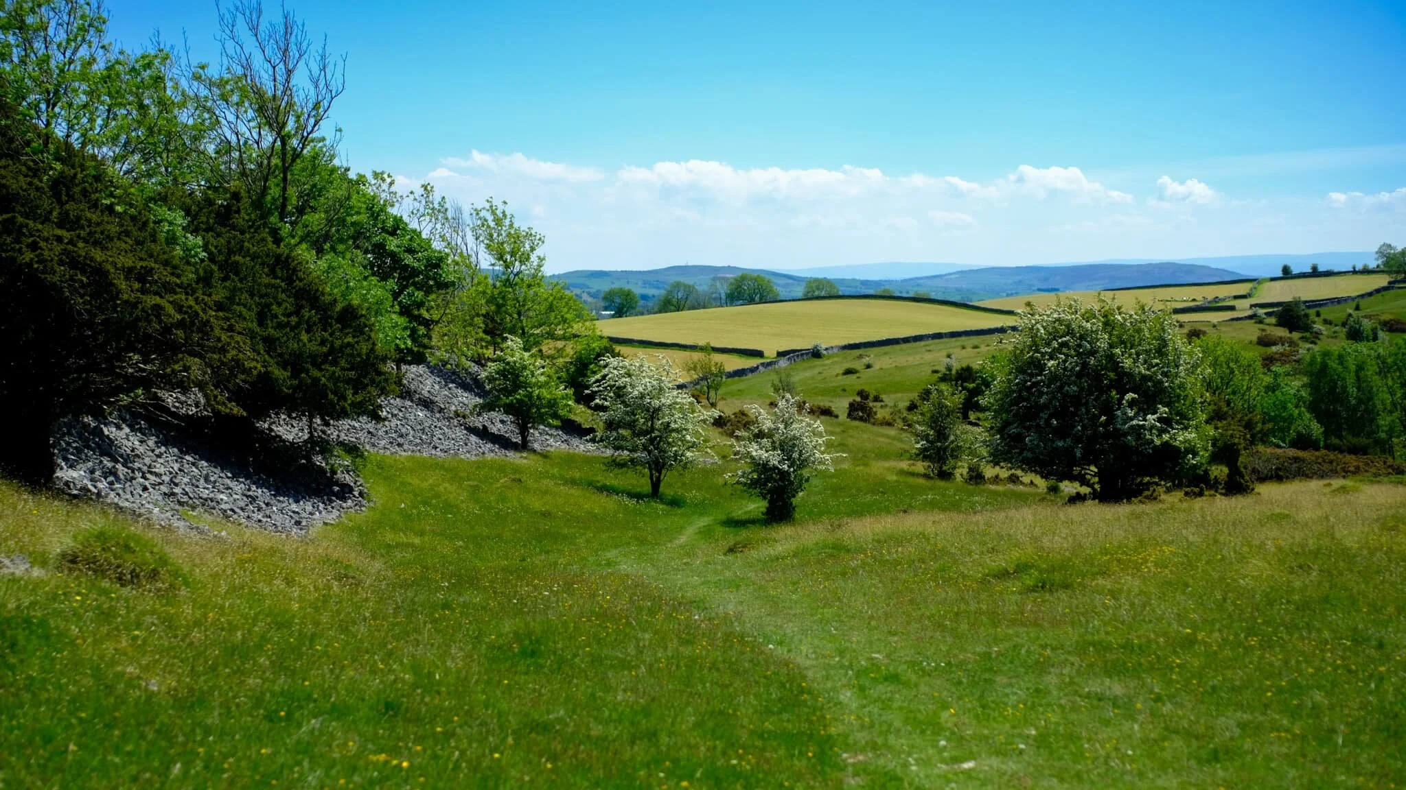 We scanned around the western shoulder of Cunswick Fell, looking for the trail down Scar Wood towards Cunswick Tarn.