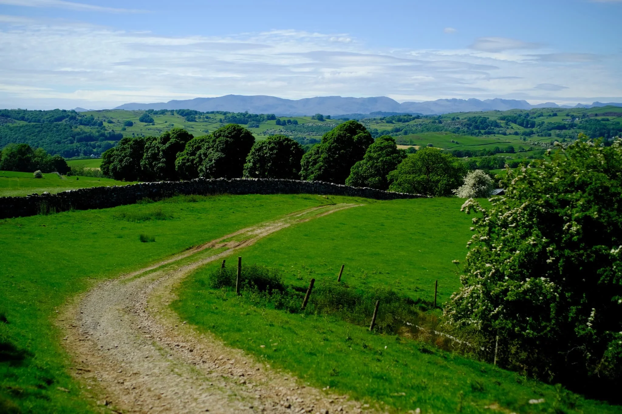 Looking back down Gamblesmire Lane, the Lake District fells looking crisp as ever even with the extra cloud cover.